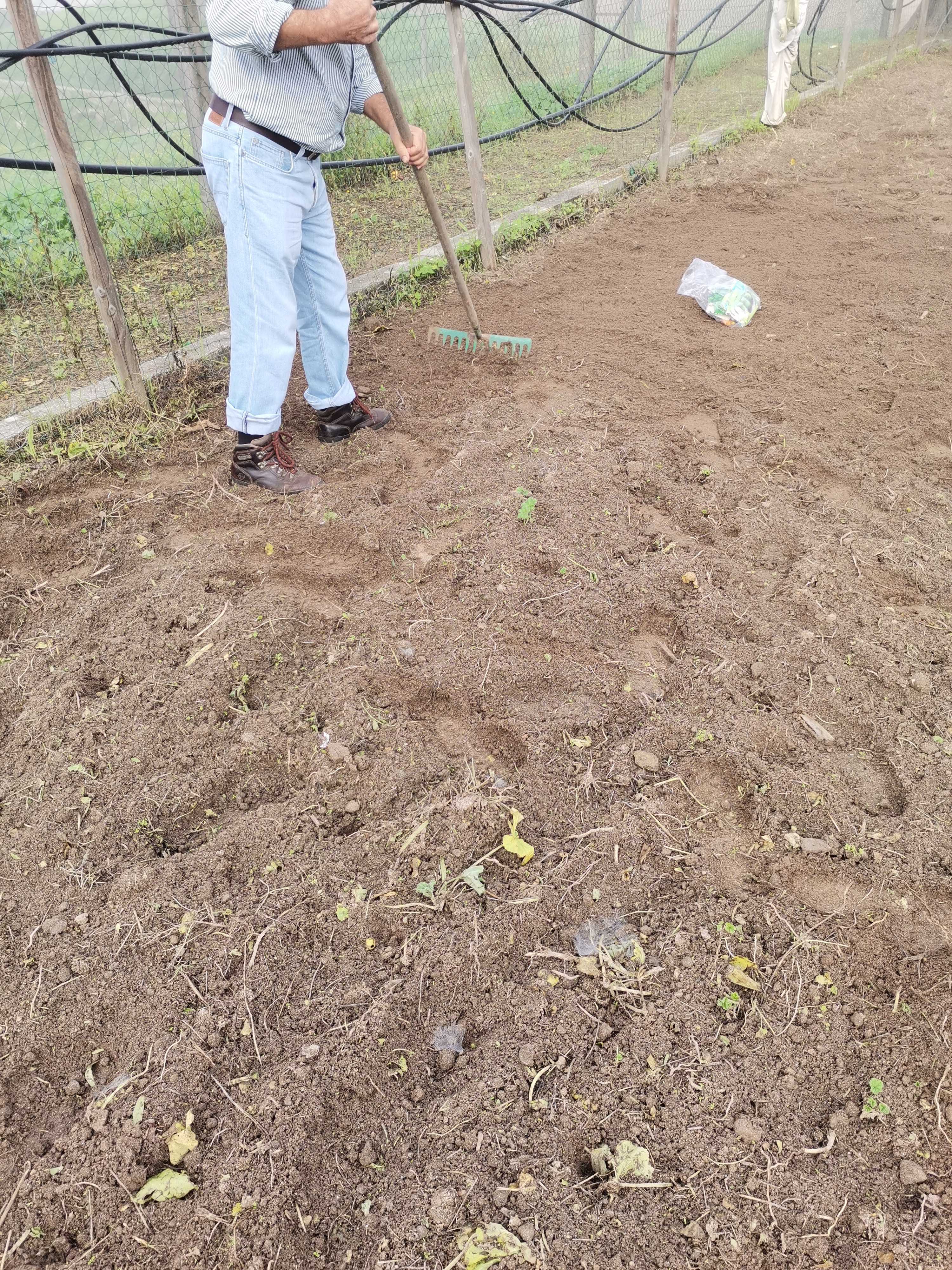 preparação da terra para a plantação