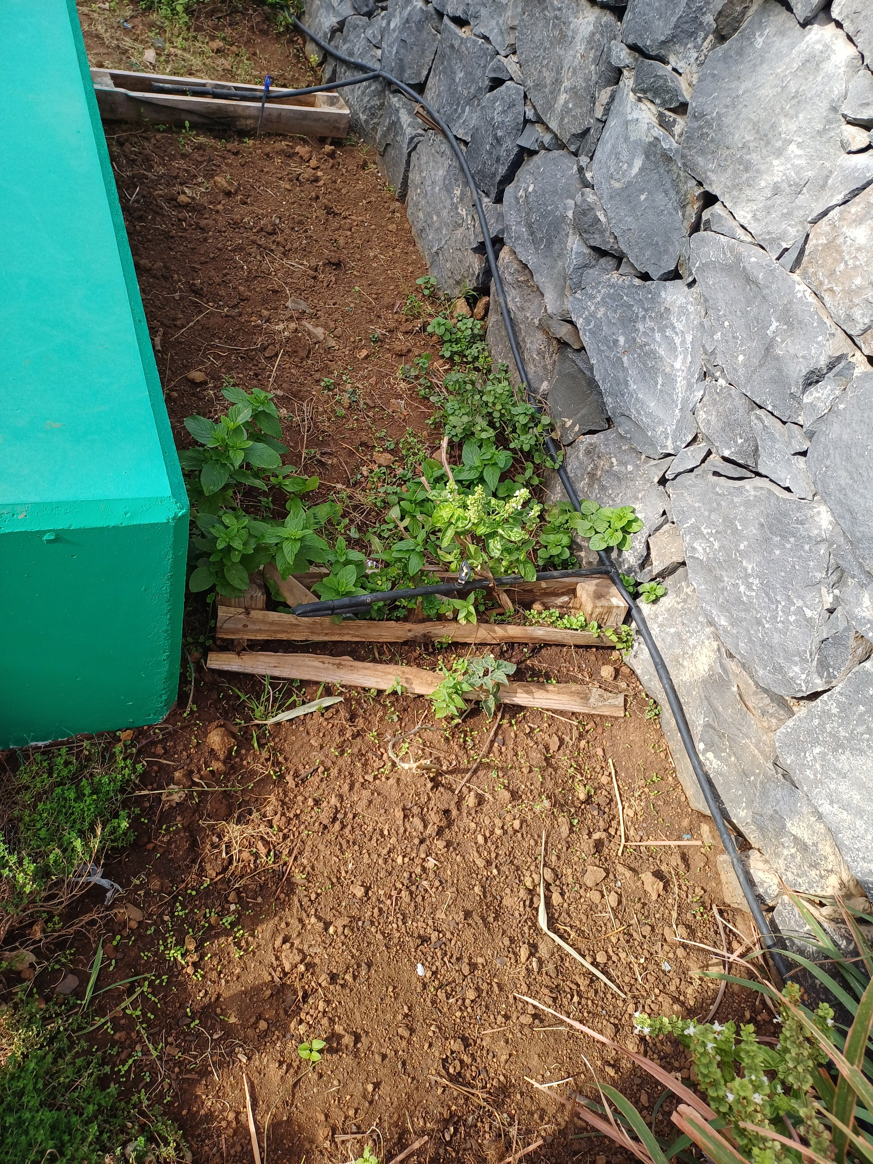 Limpeza do solo