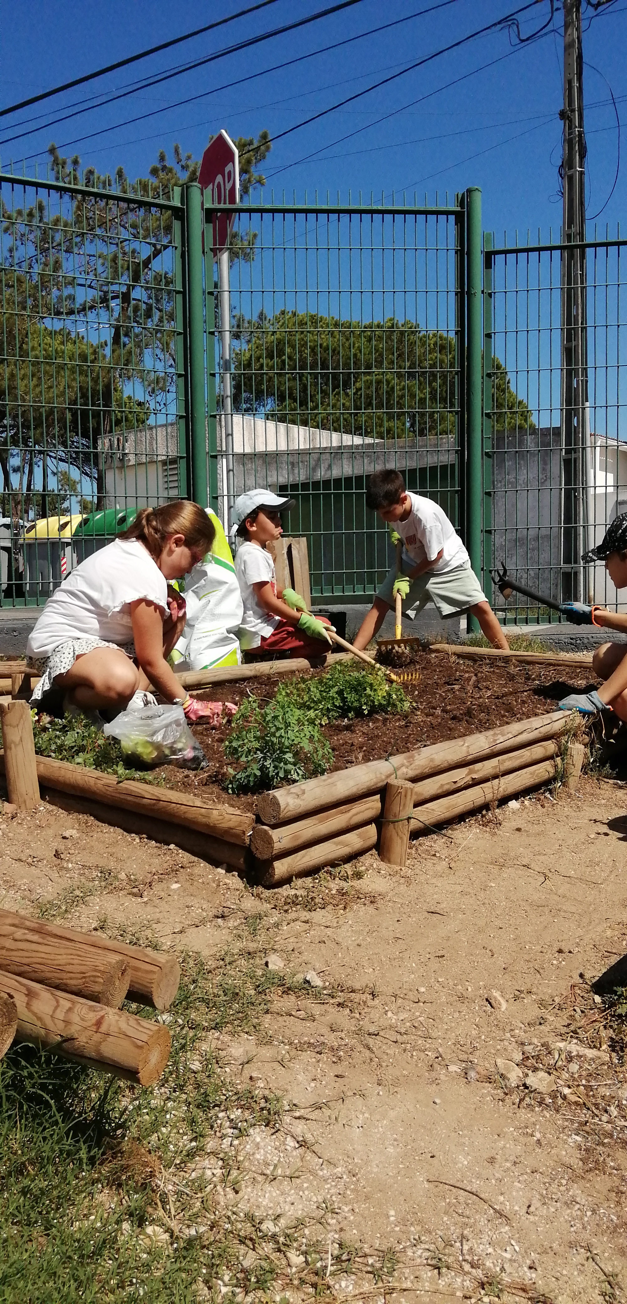 Melhorámos os canteiros, com os alunos e com a ajuda de um grupo de pais. 
Os alunos prepararam a terra para novas plantações.