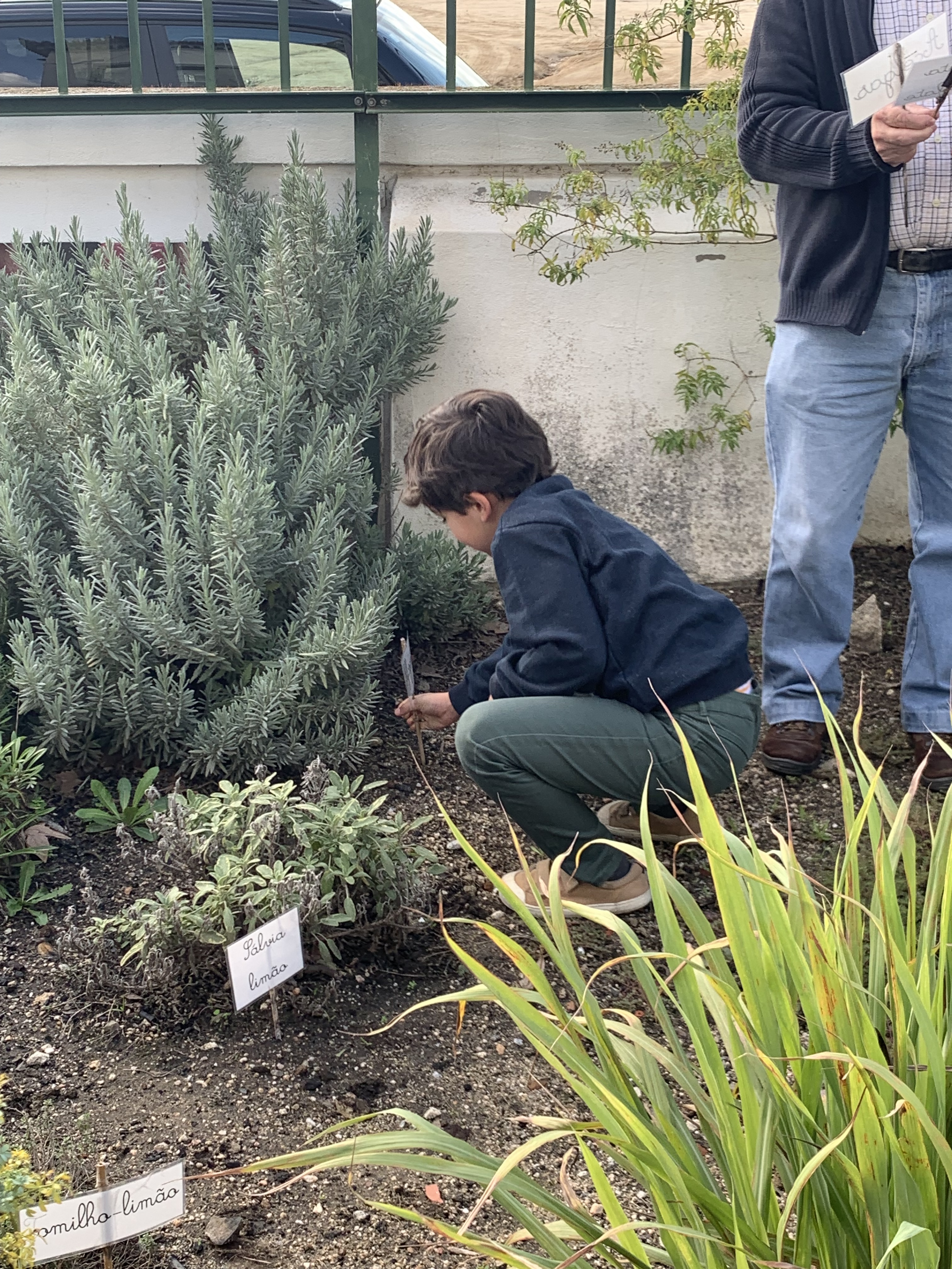 Canteiro das Aromáticas: Os alunos do 3ºB participaram na atividade de colocar as placas a identificar o nome de cada planta aromática, ao mesmo tempo que ouviam a explicação sobre a utilidade/curiosidades acerca das mesmas.
