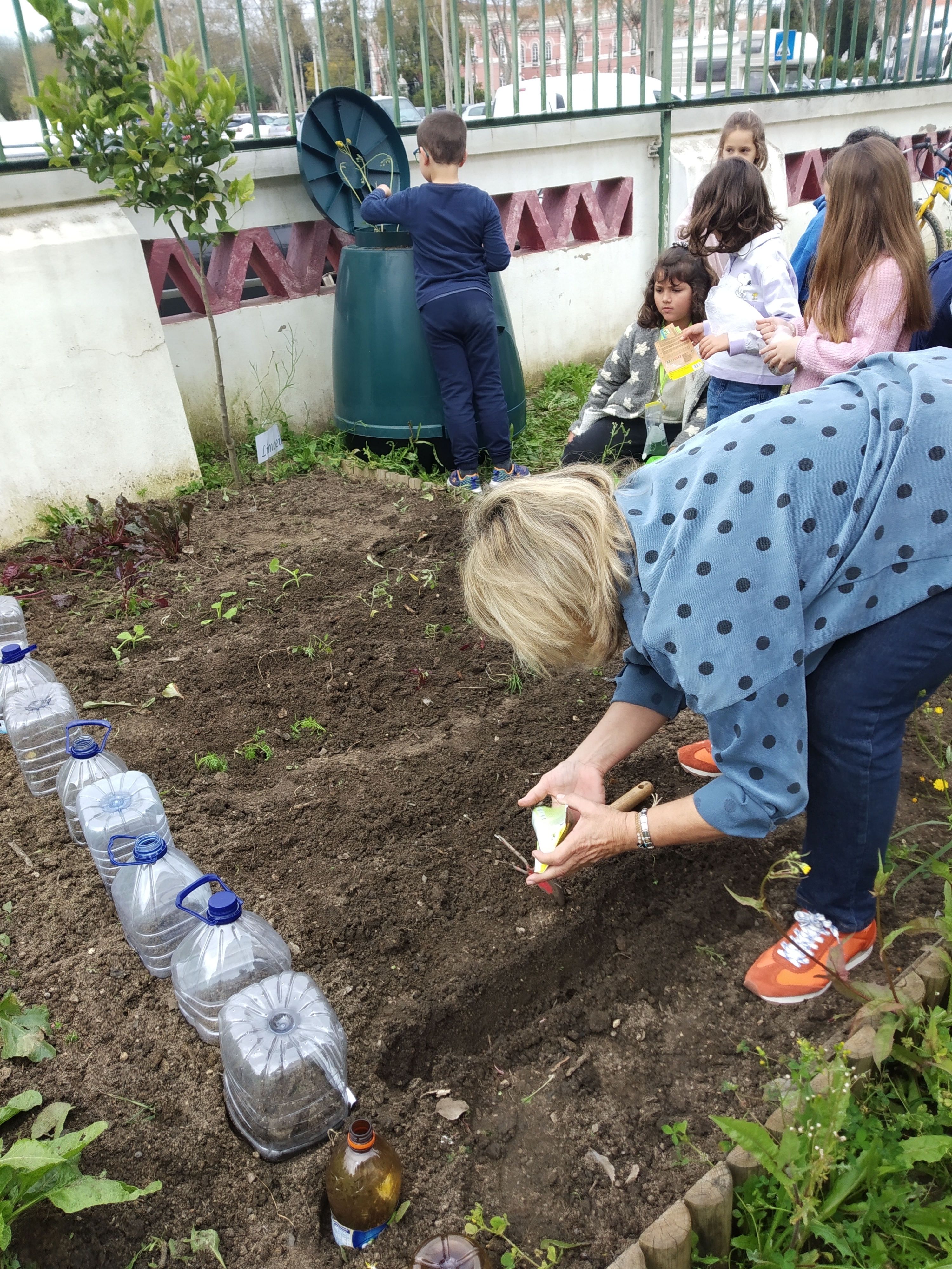 Plantação de alface, tomate e melância: A turma do 1ºC resolveu plantar alguns legumes e semear frutos, a fim de verificar o processo de germinação  e desenvolvimento das plantas.