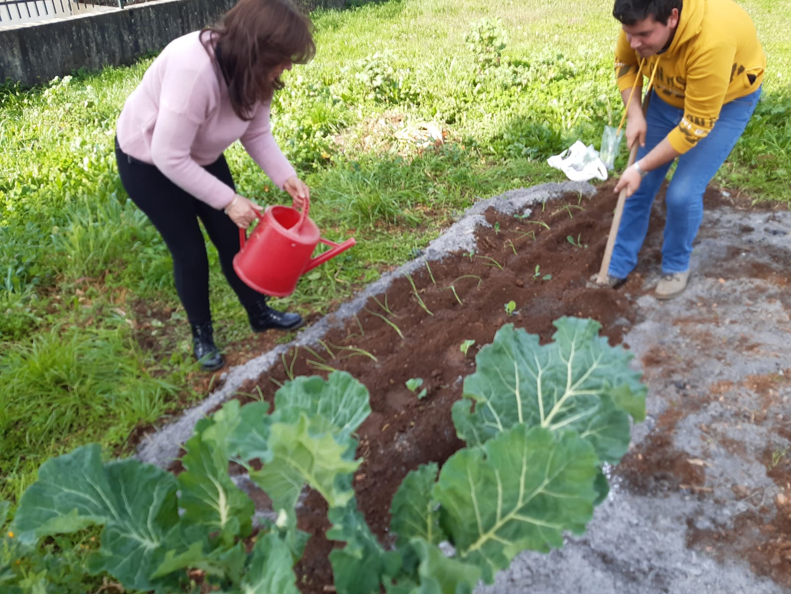 Preparação do solo e plantação da horta.