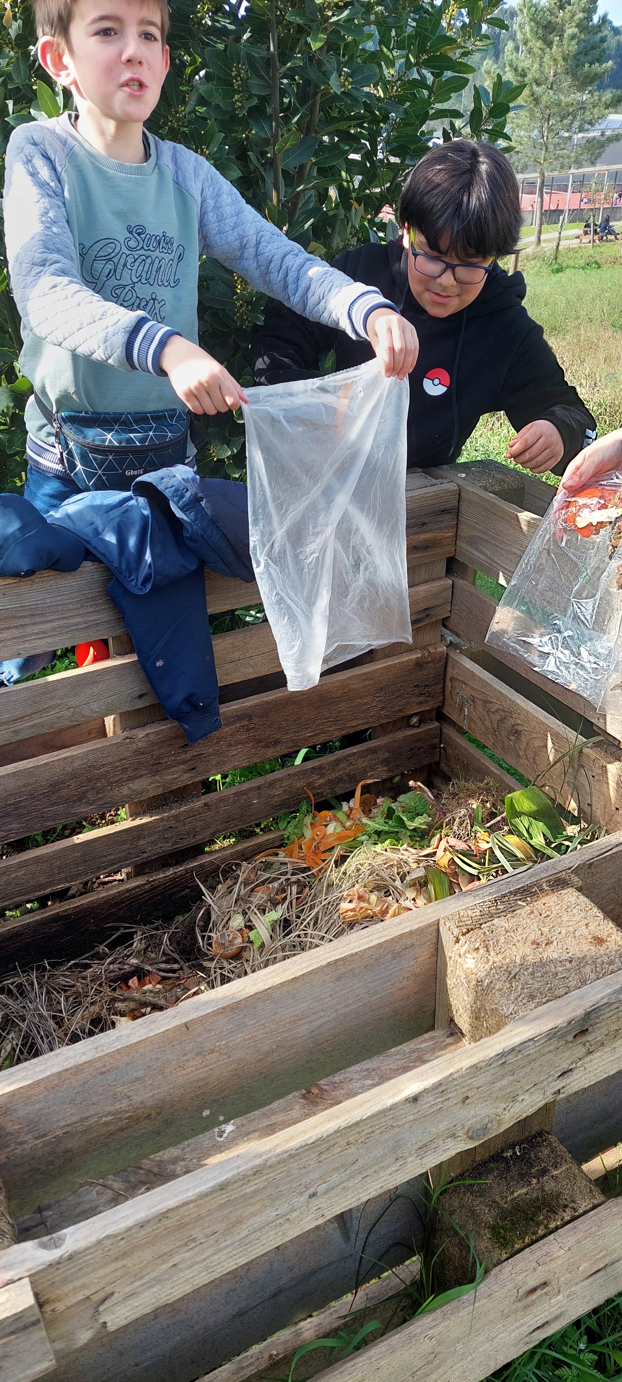 Atividade "compostagem": distinção entre resíduos verdes e castanhos