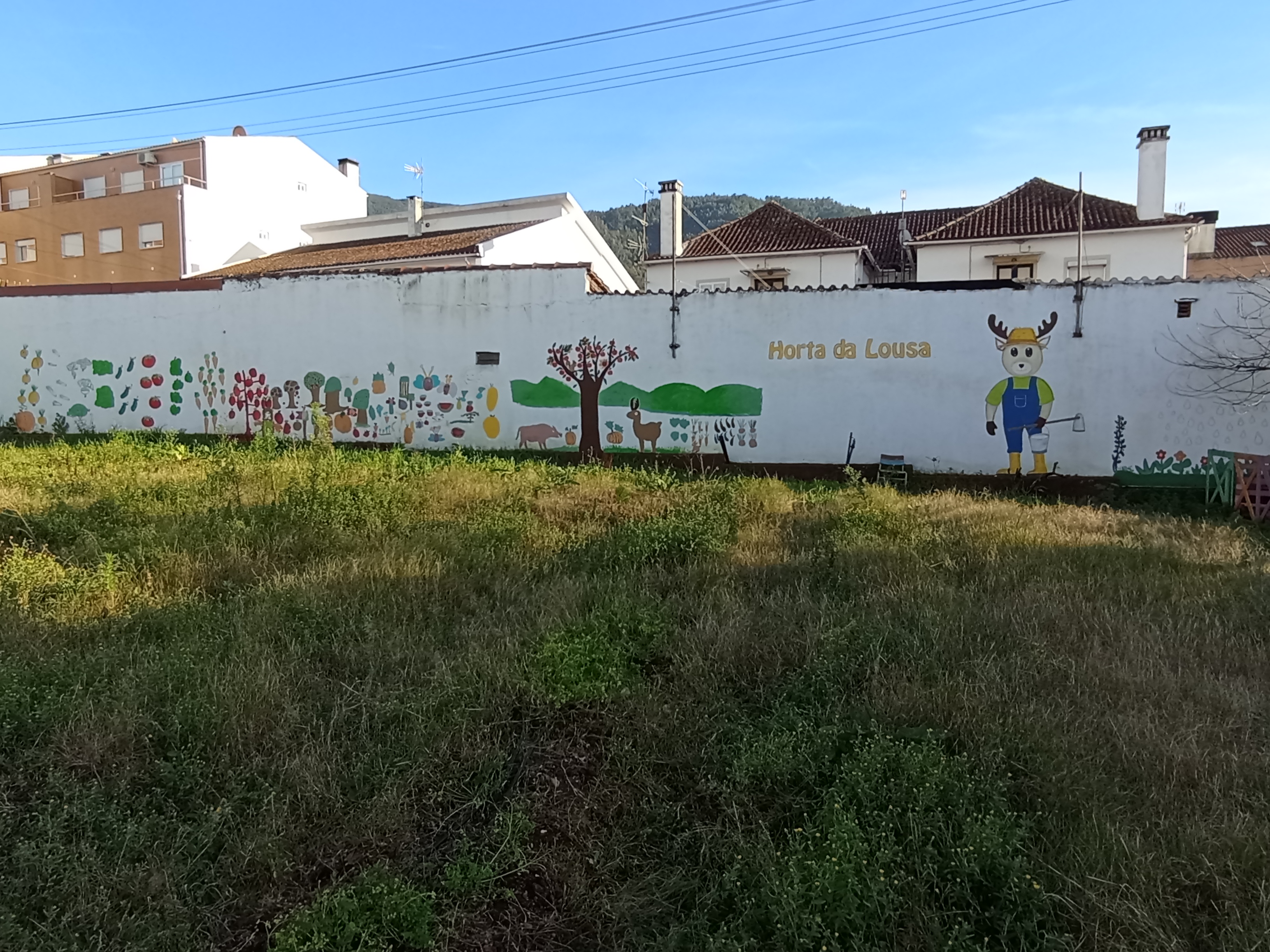 Vista geral da Horta da Lousa