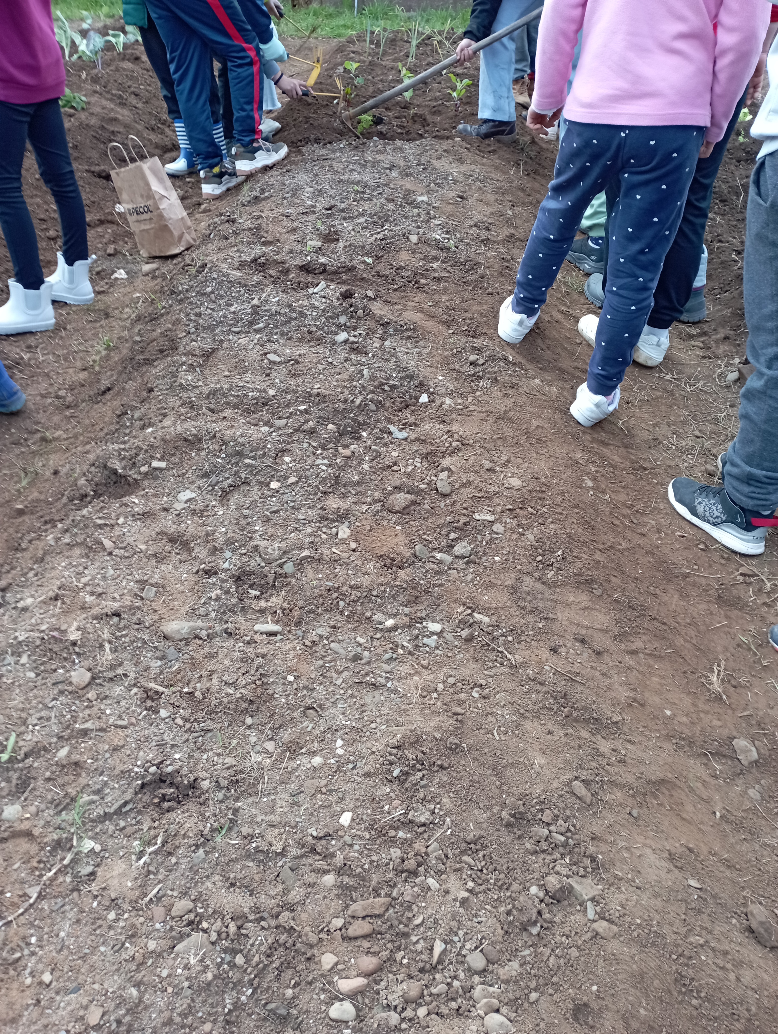 Preparação da terra para as plantações e sementeiras