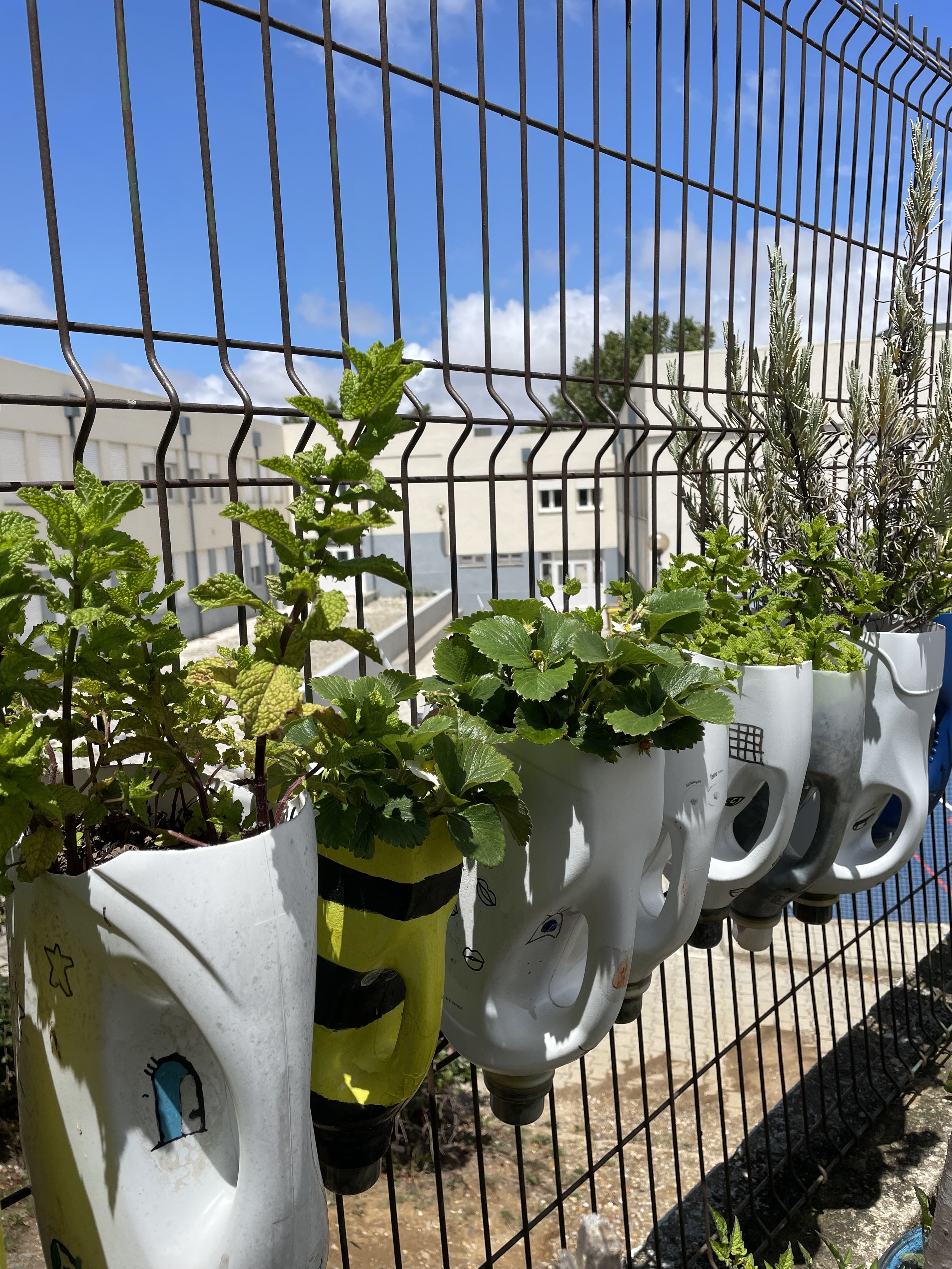 Jardim Suspenso