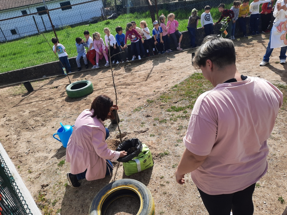 Para comemorar o Dia da Árvore procedemos à criação do nosso «Pomar Solidário», com a colaboração da Associação de Pais que ofereceu as árvores de fruto e construiu a vedação com paletes.