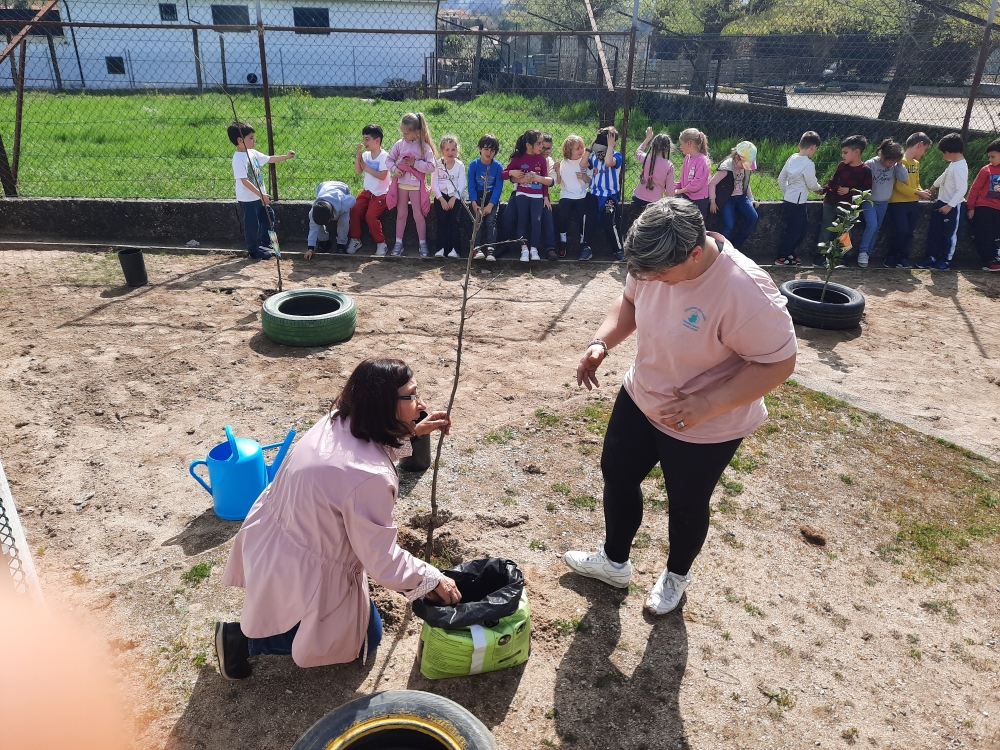Para comemorar o Dia da Árvore procedemos à criação do nosso «Pomar Solidário», com a colaboração da Associação de Pais que ofereceu as árvores de fruto e construiu a vedação com paletes.