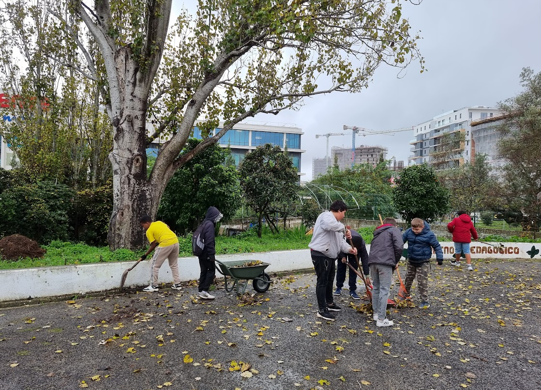 Recolha de manta morta para compostagem e preparação do terreno