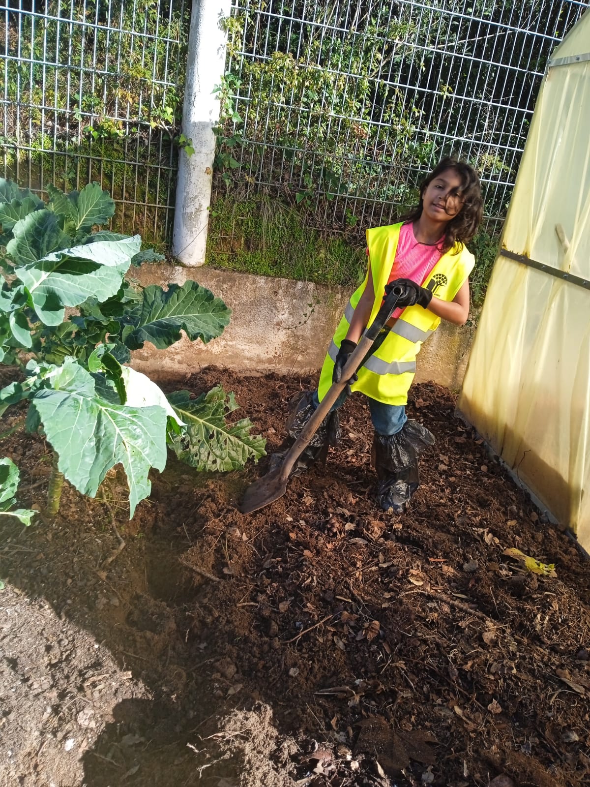 Aluno do clube Eco-escolas está a preparar o terreno para a plantação da horta.