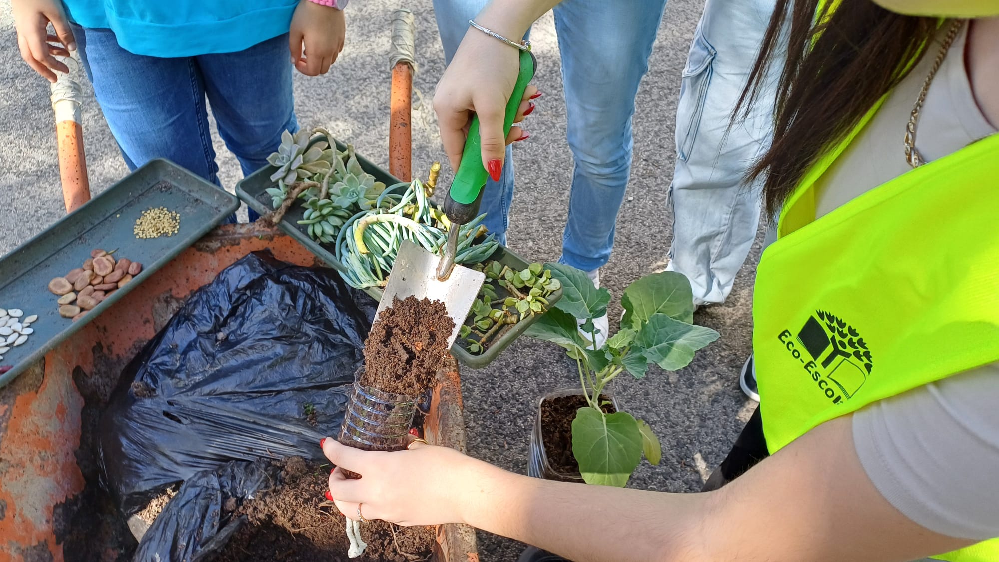 Aluno a preparar um vaso auto-irrigável para plantar uma planta.