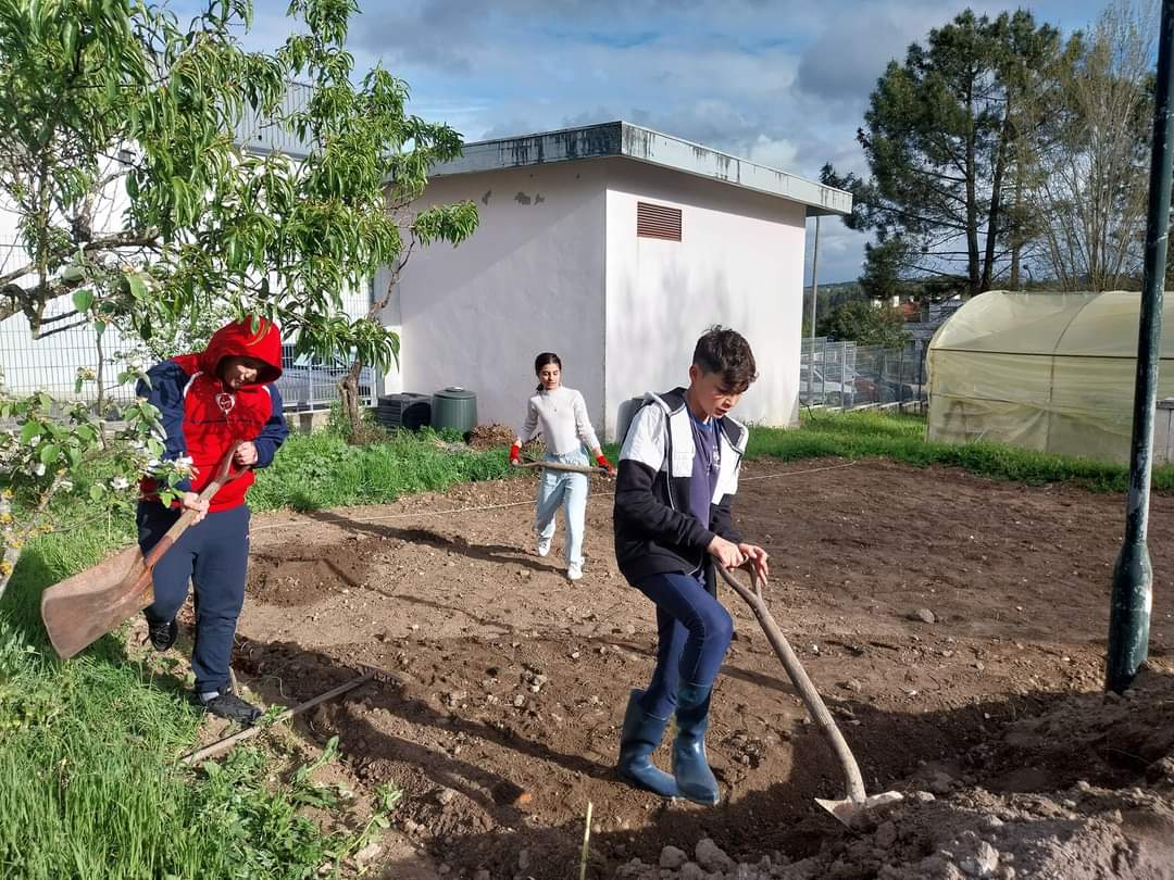 Preparação do terreno: distribuição de terra vegetal e composto, demarcação dos canteiros. Março 2024