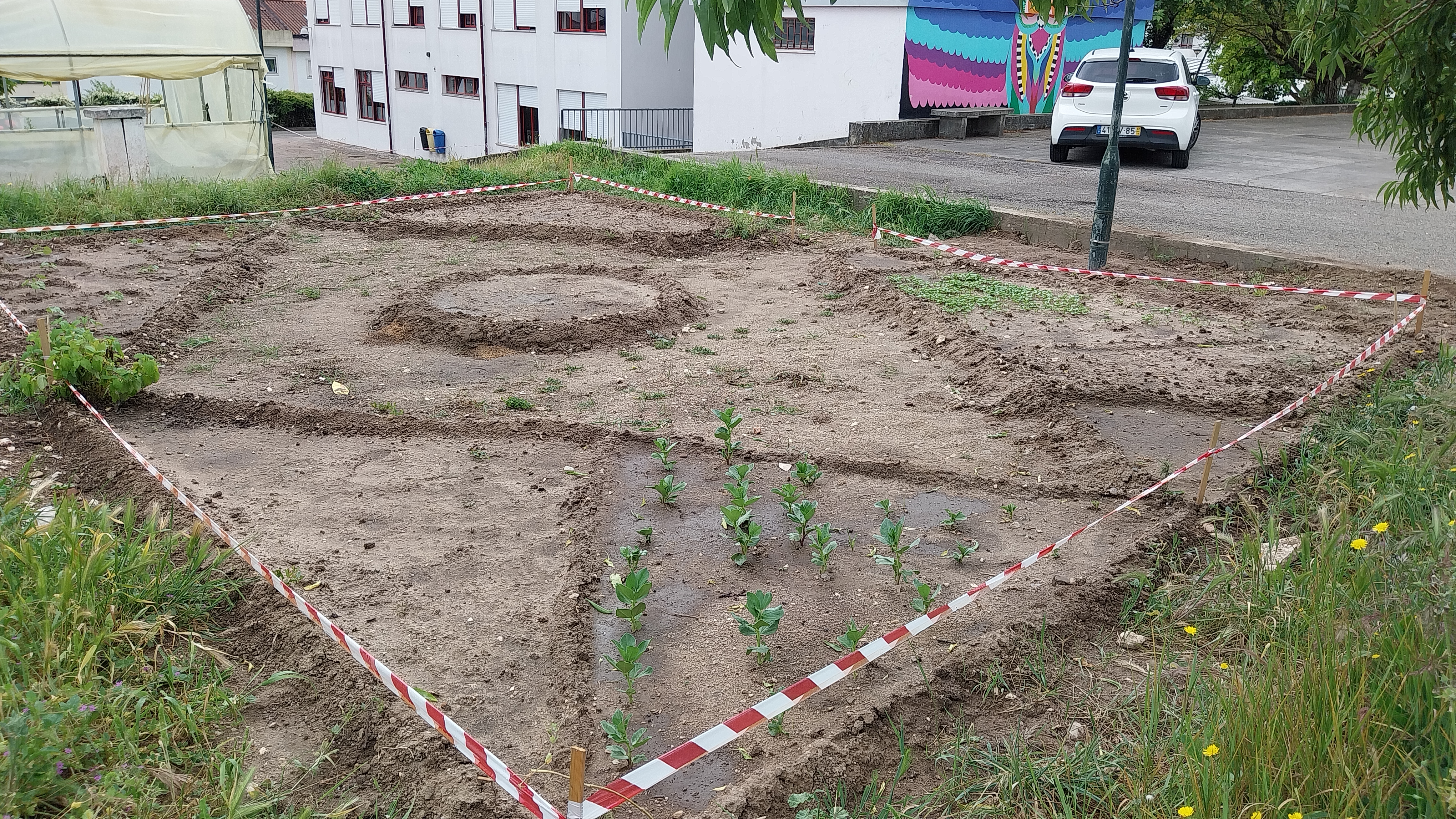 Geometria e culturas da horta. Abril 2024
Favas, rabanetes e curgetes. Ervas aromáticas: Erva cidreira, salva, alecrim e orégãos.
