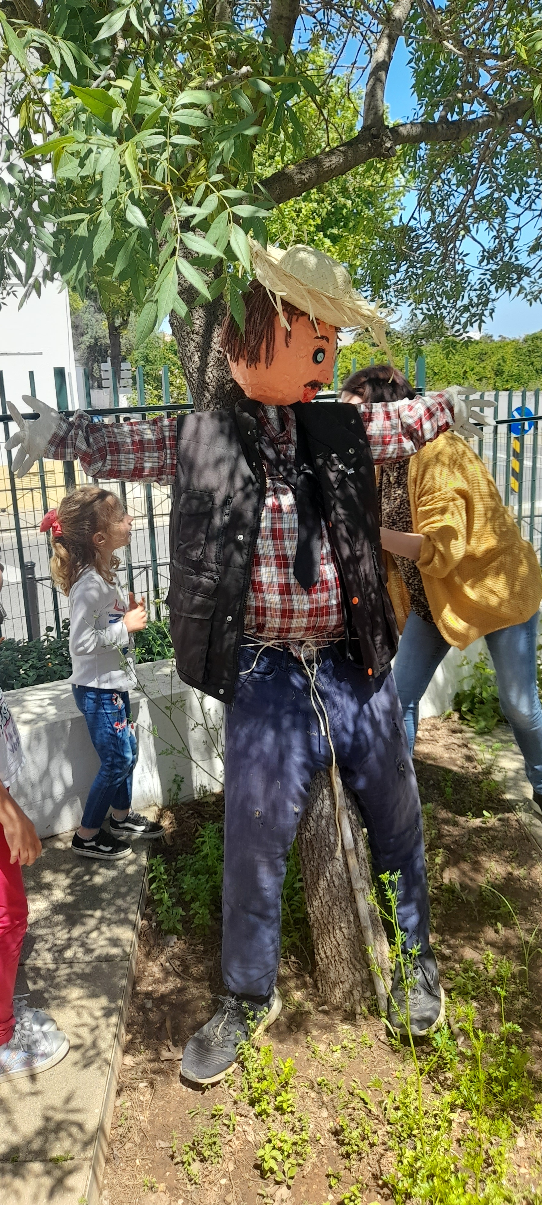 Instalação dos espantalhos na horta..