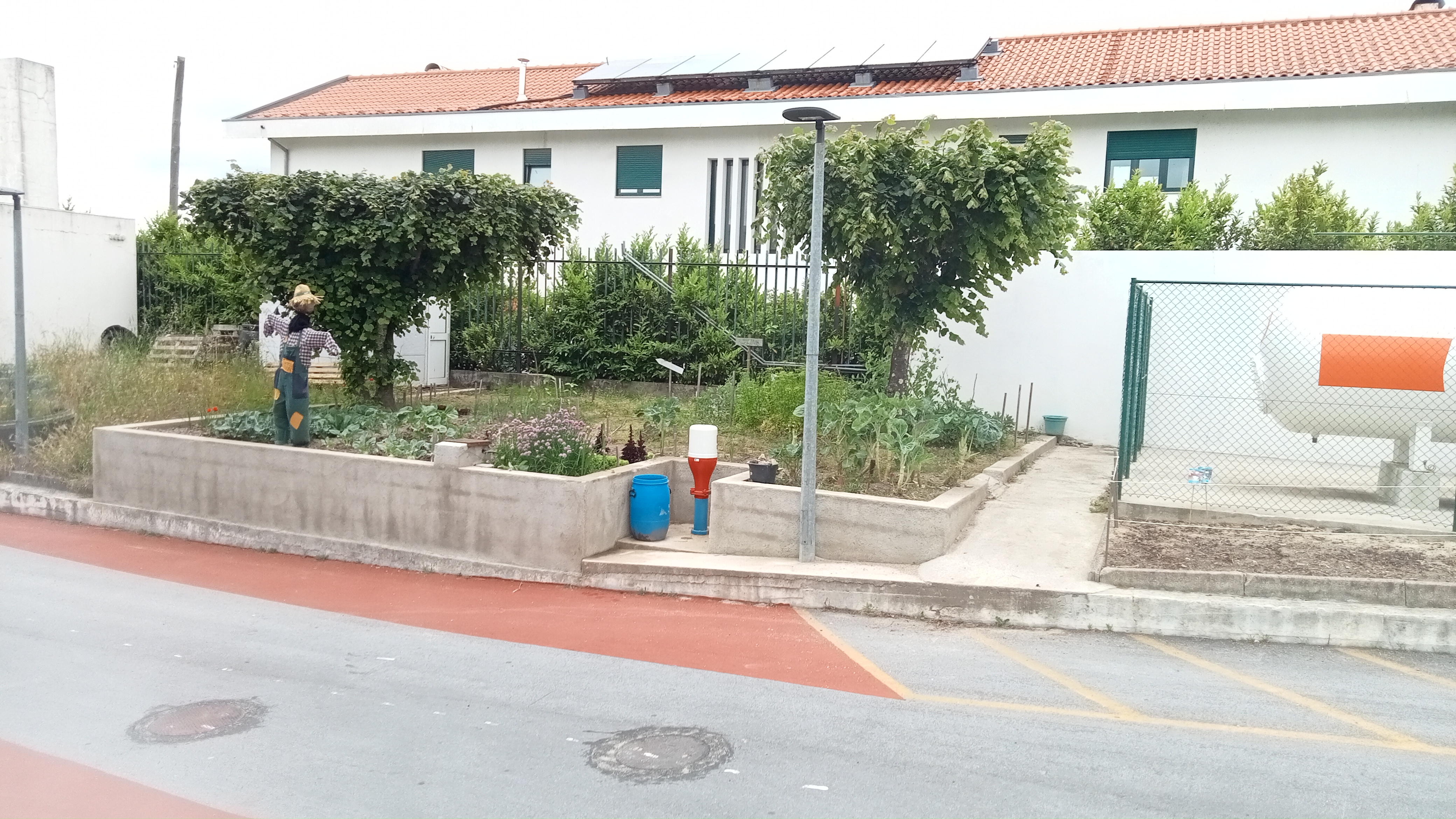 Do lado direito, em frente ao depósito, guardámos um espaço para semear flores. Quando florirem, vão dar novo encanto ao espaço da Horta e chamar muitos insetos.