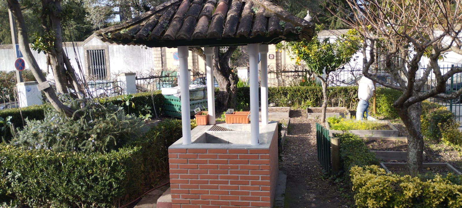 Horta no mês de janeiro.