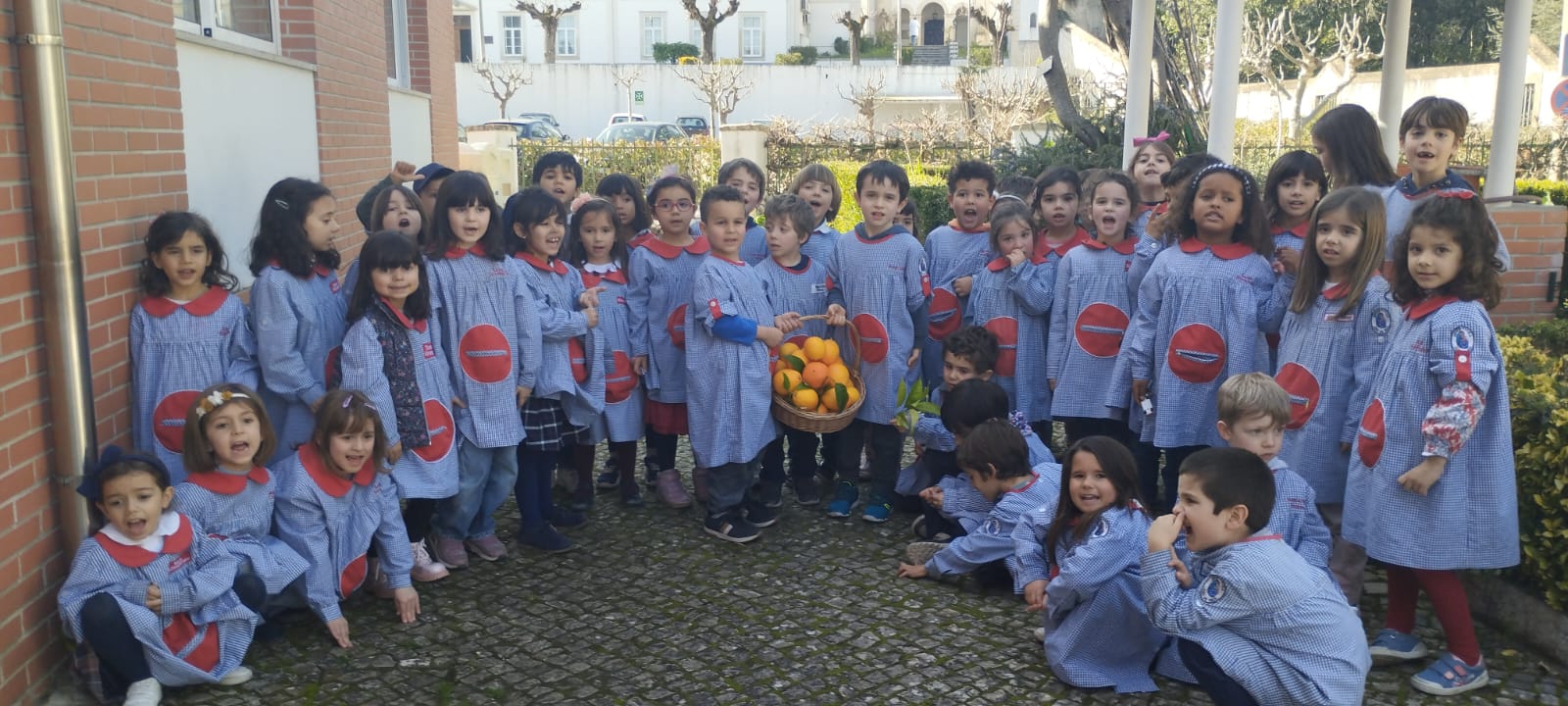 Horta no mês de janeiro.