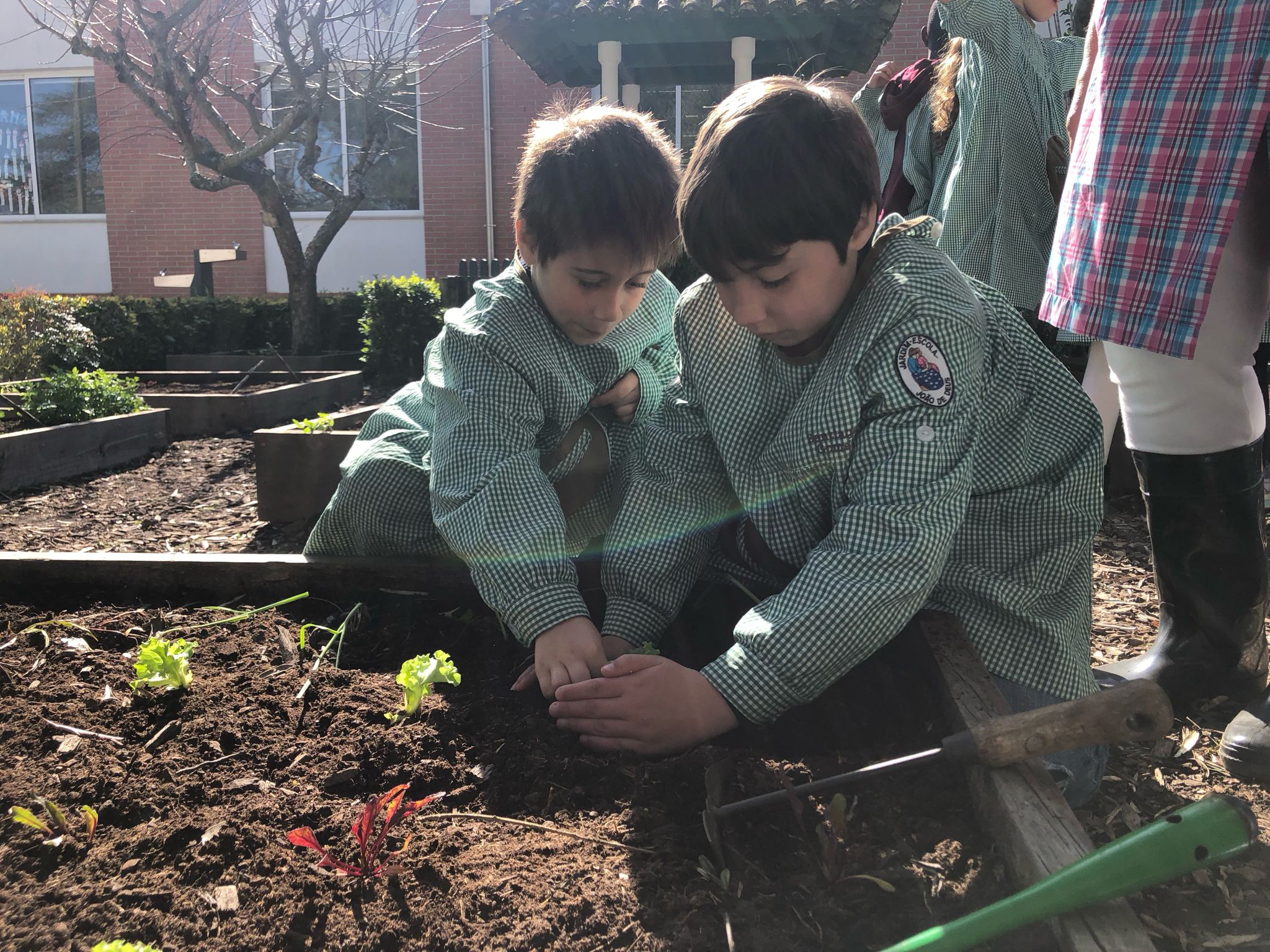 Plantações na horta no mês de março.