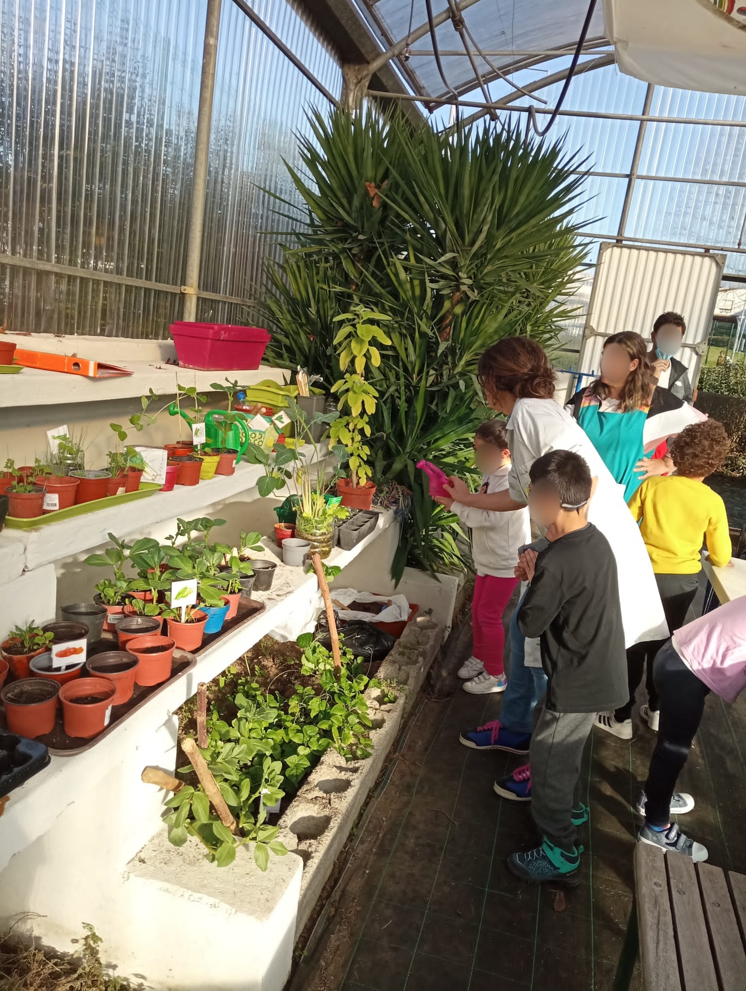 Visita dos alunos do 1º ciclo - Visita dos alunos do 1º ciclo para troca de experiências, exploração do espaço e manutenção das culturas.