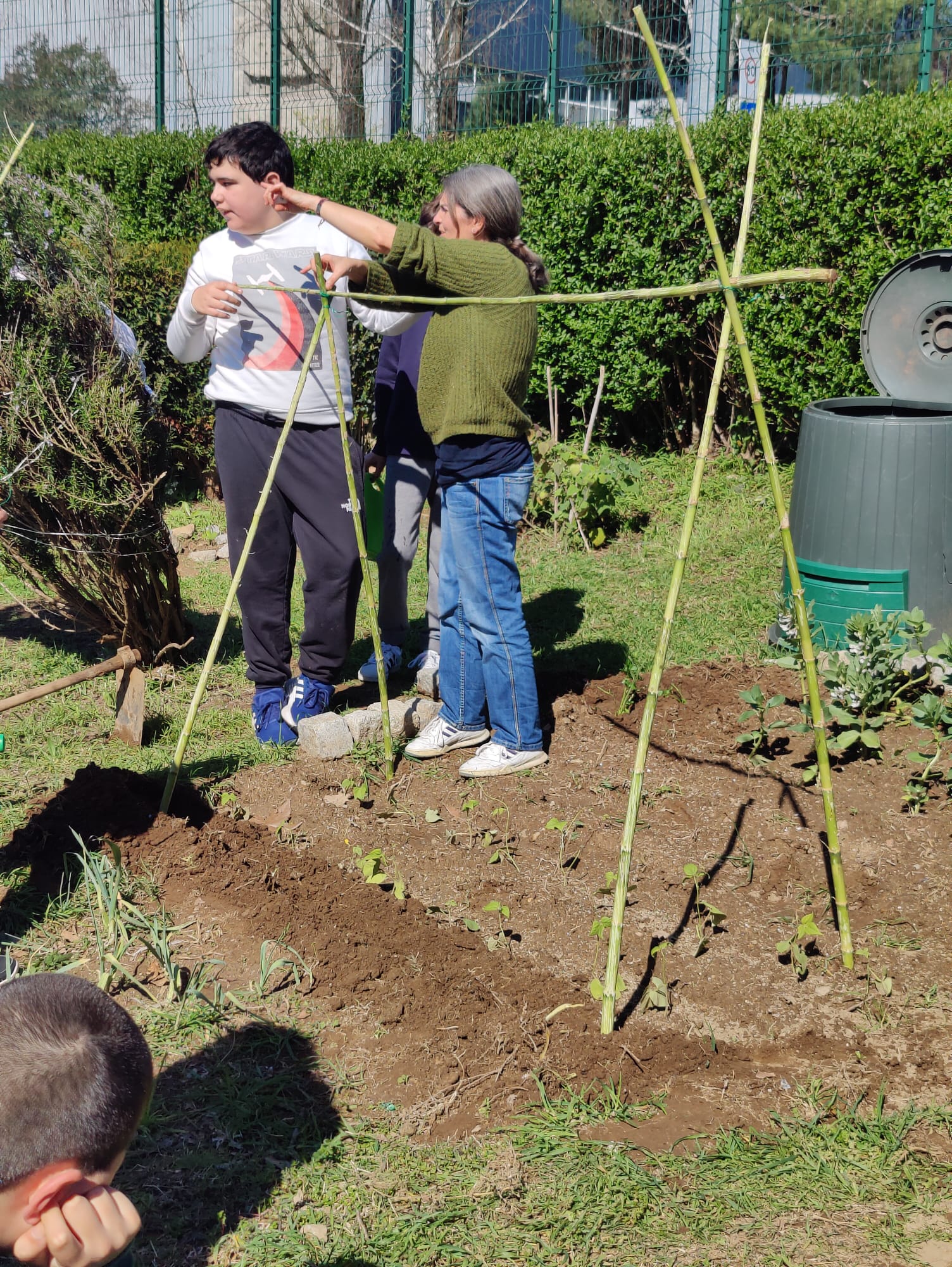 Estrutura para feijão verde
Preparação da estrutura (tutores) para auxiliar o crescimento do feijão verde.
Os alunos acompanharam todo o processo de desenvolvimento do feijoeiro. Foi feita na estufa a germinação do feijão, transplante para a horta e pre