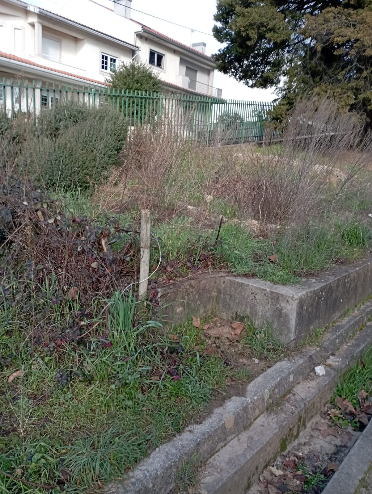 Horta
Local onde será instalada a horta biológica