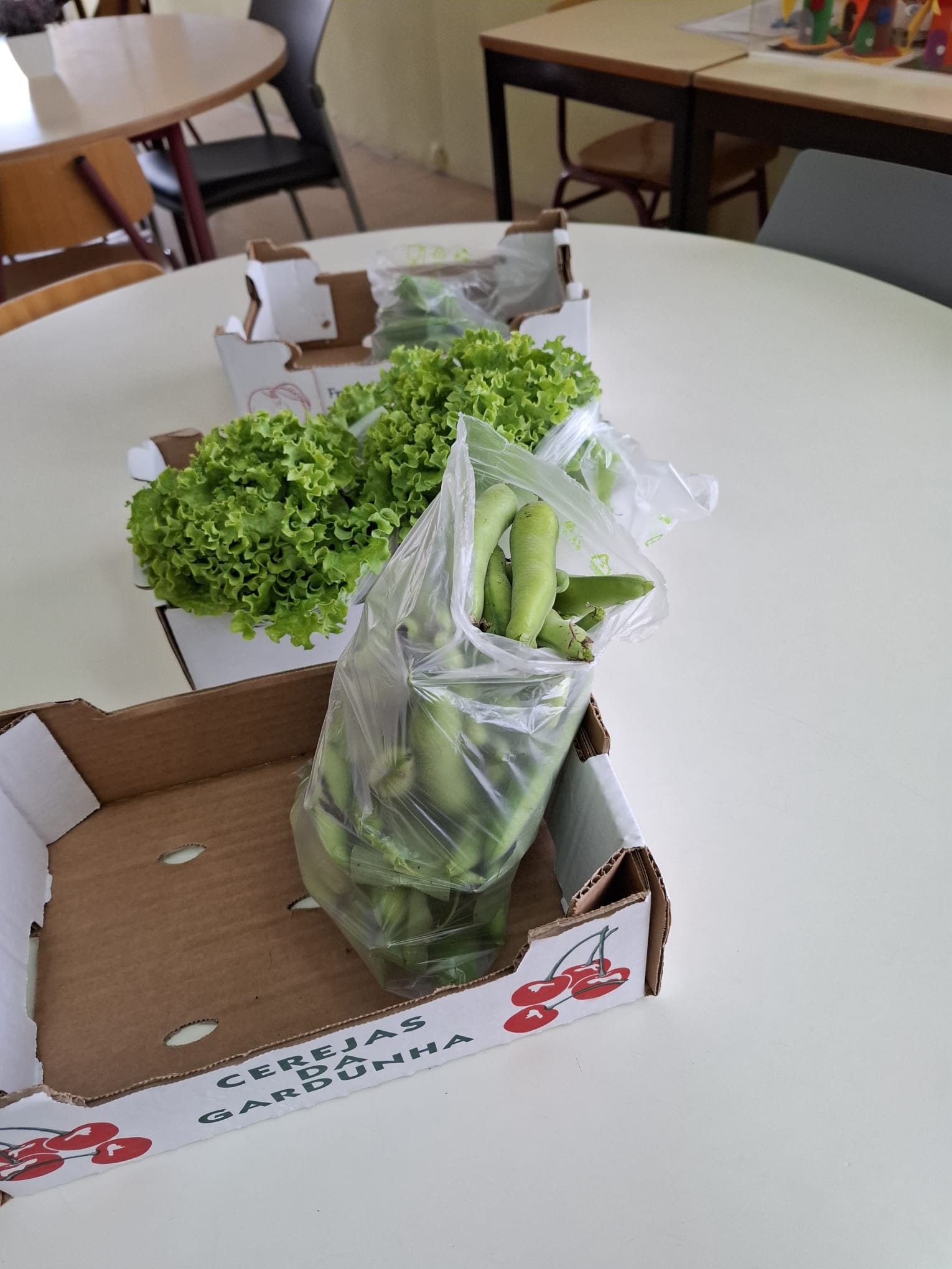 Venda dos produtos da horta