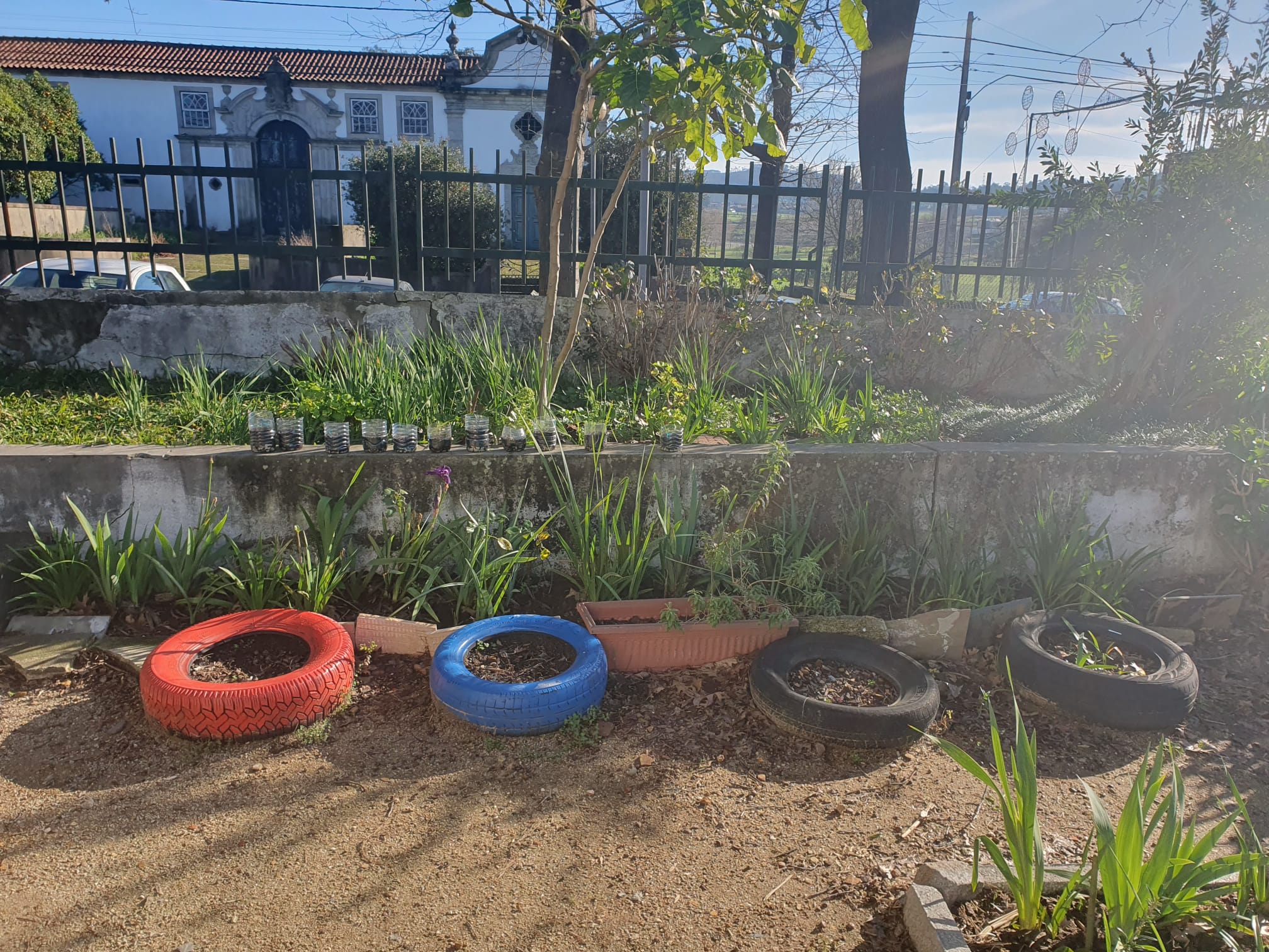 Canteiros de plantação sazonal.