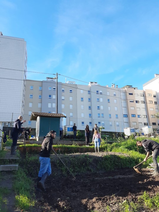 Preparação do terreno, em meados de dezembro de 2023.
