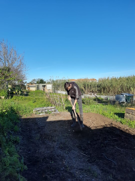 Preparação do terreno, em meados de dezembro de 2023.