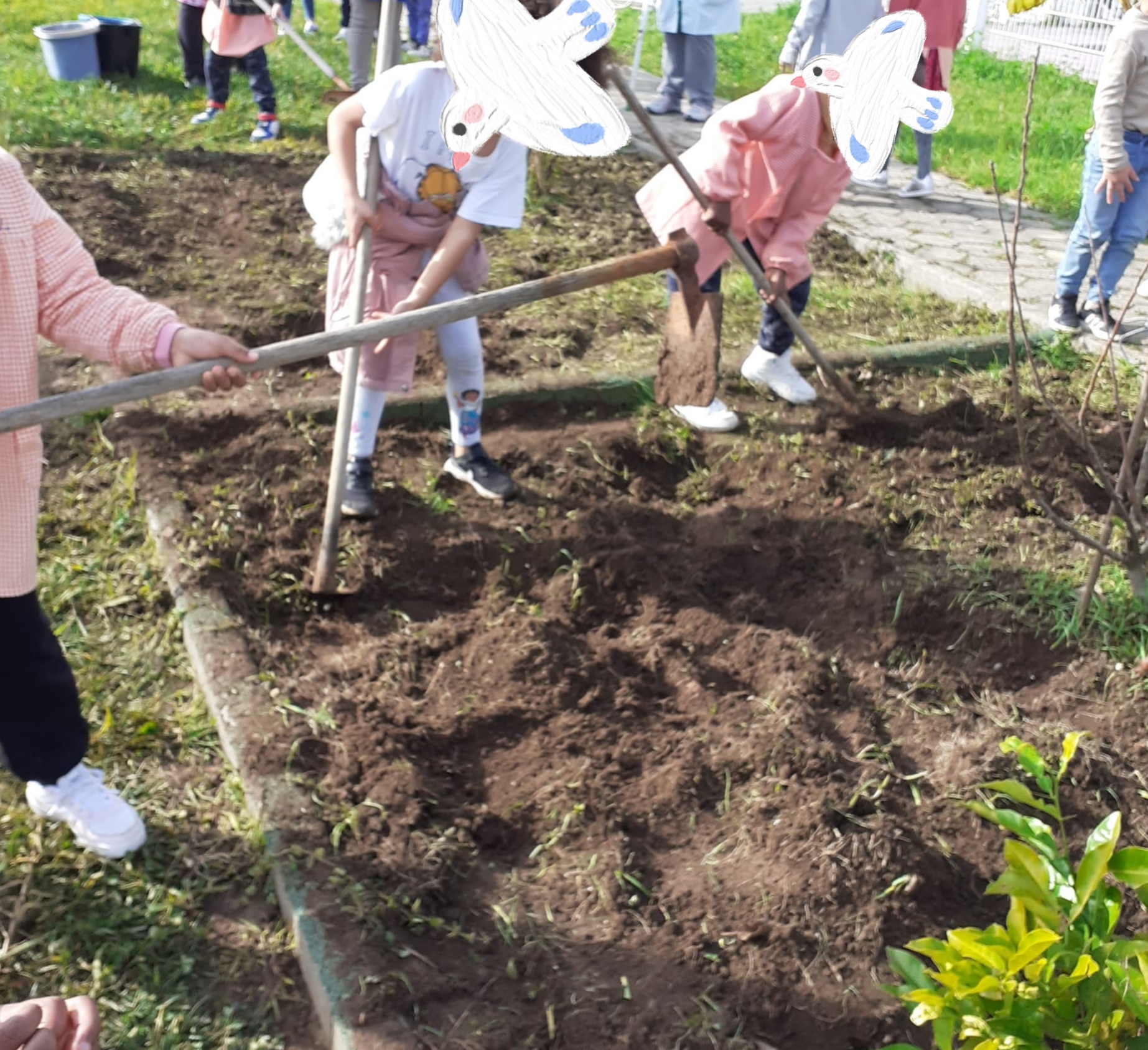 Os alunos a mondar a terra