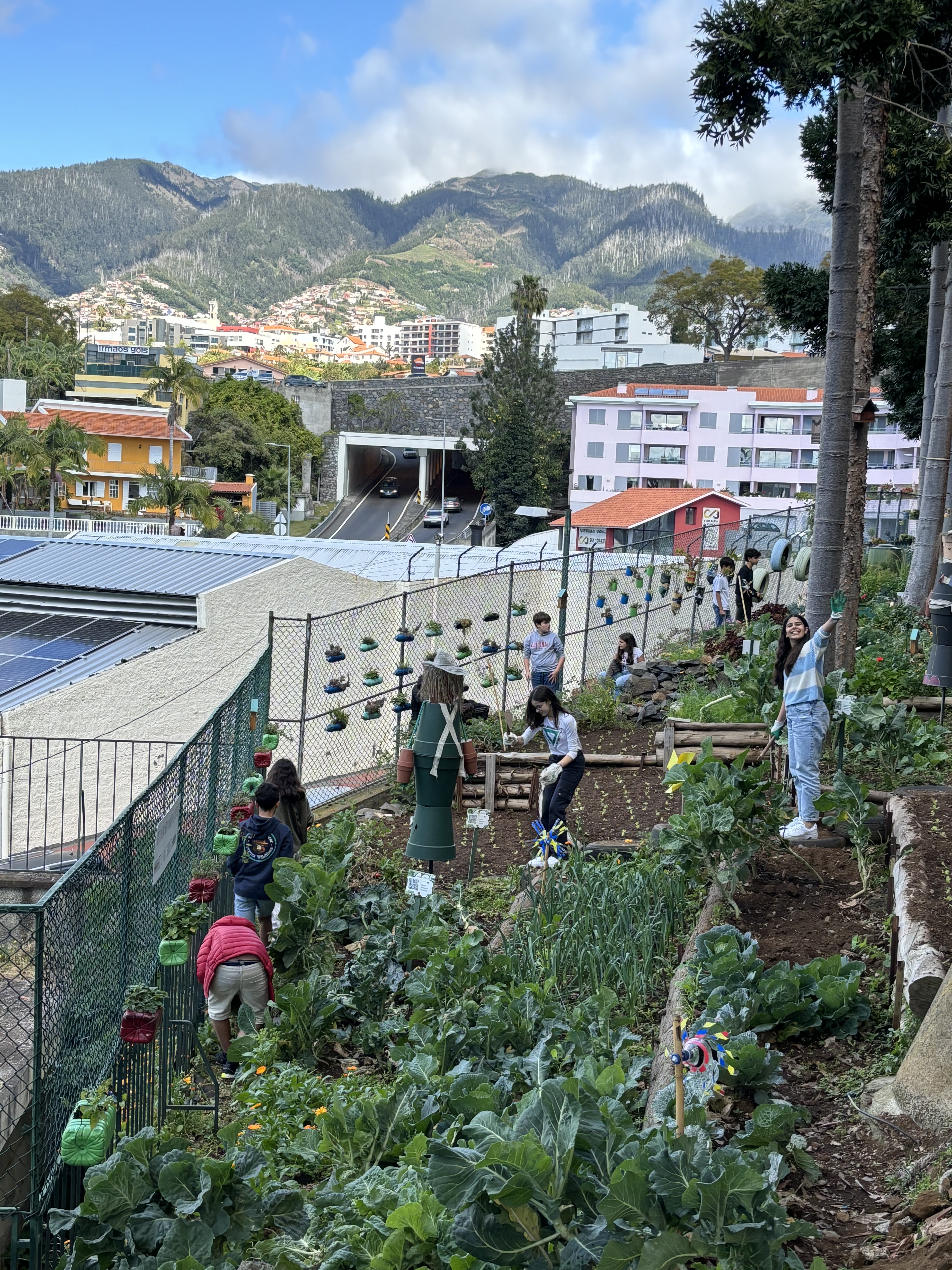 A dinâmica dos alunos na horta.