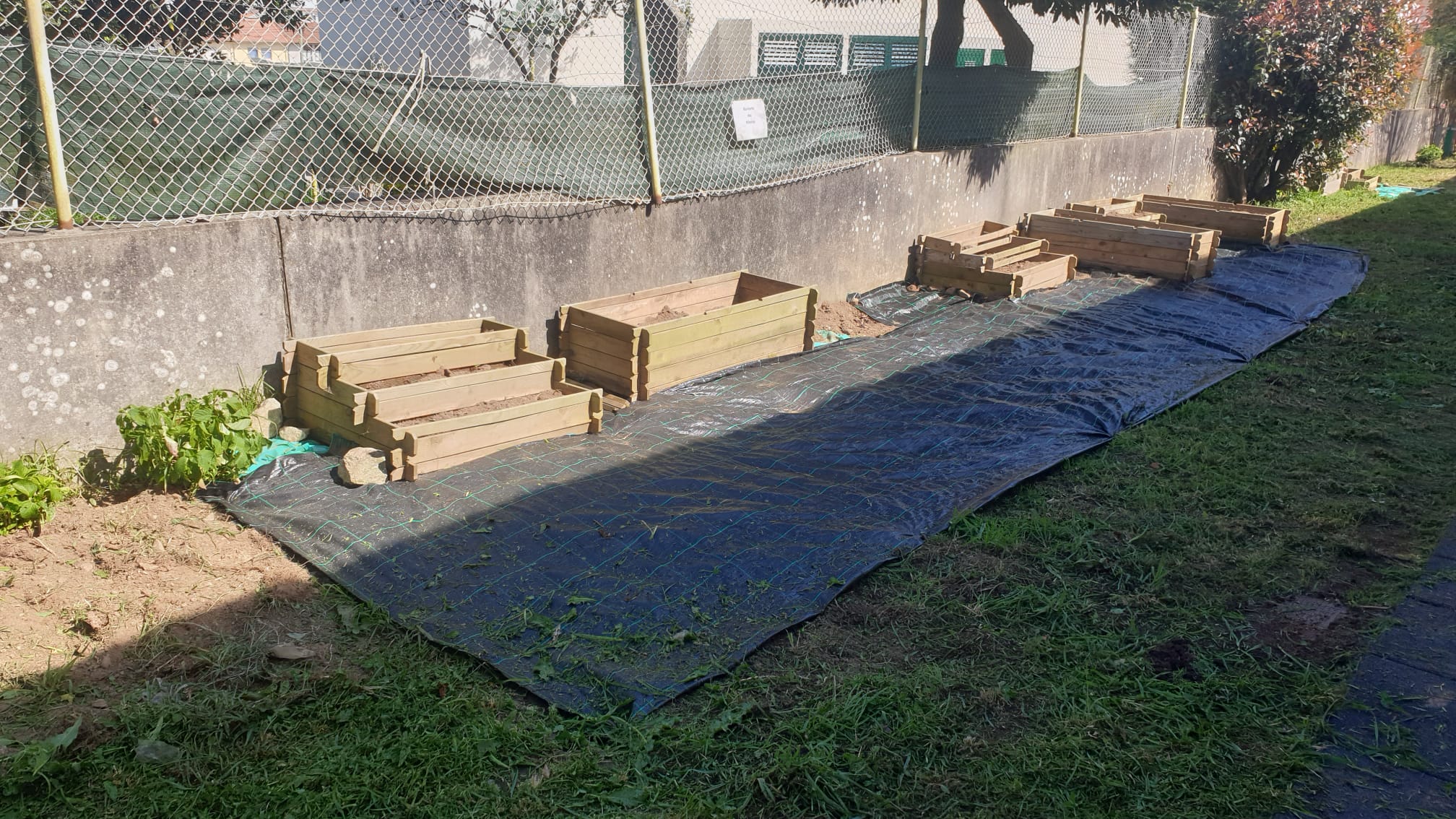 Organização da Bio-horta3
