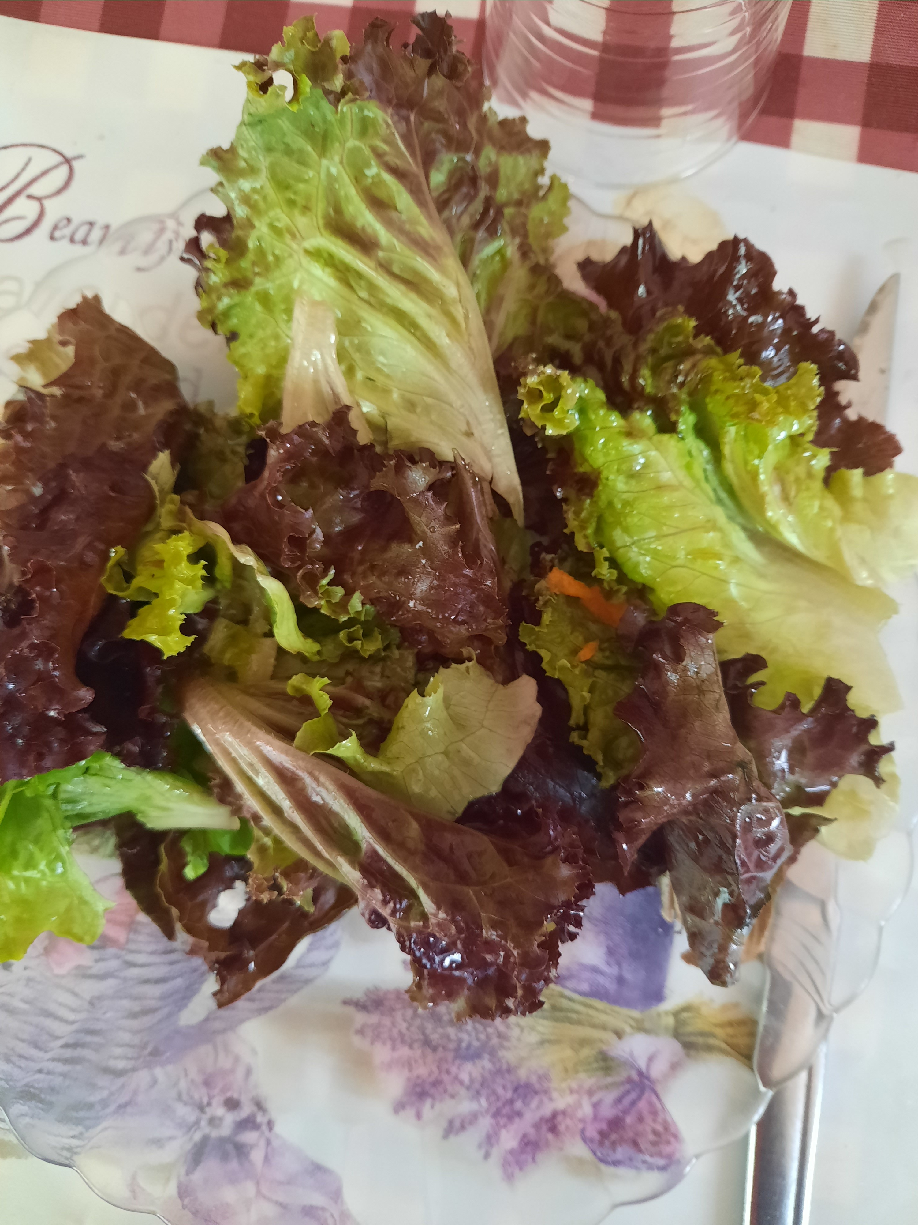 Preparação de uma salada de alface da horta.