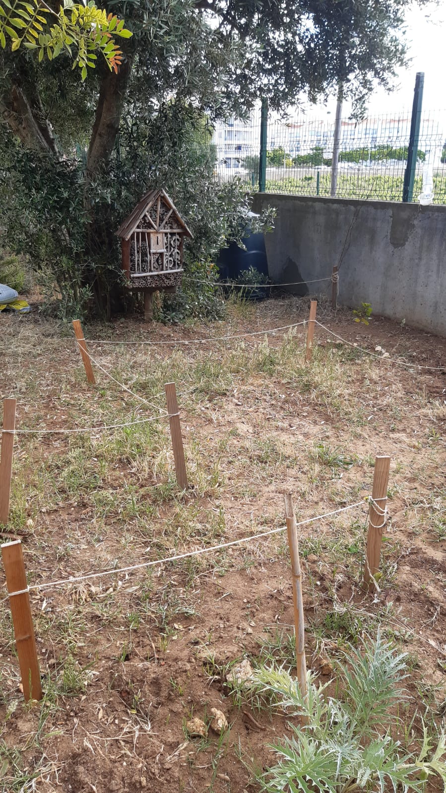 Aspeto geral com anexos à horta (hotel de insetos e compostor).