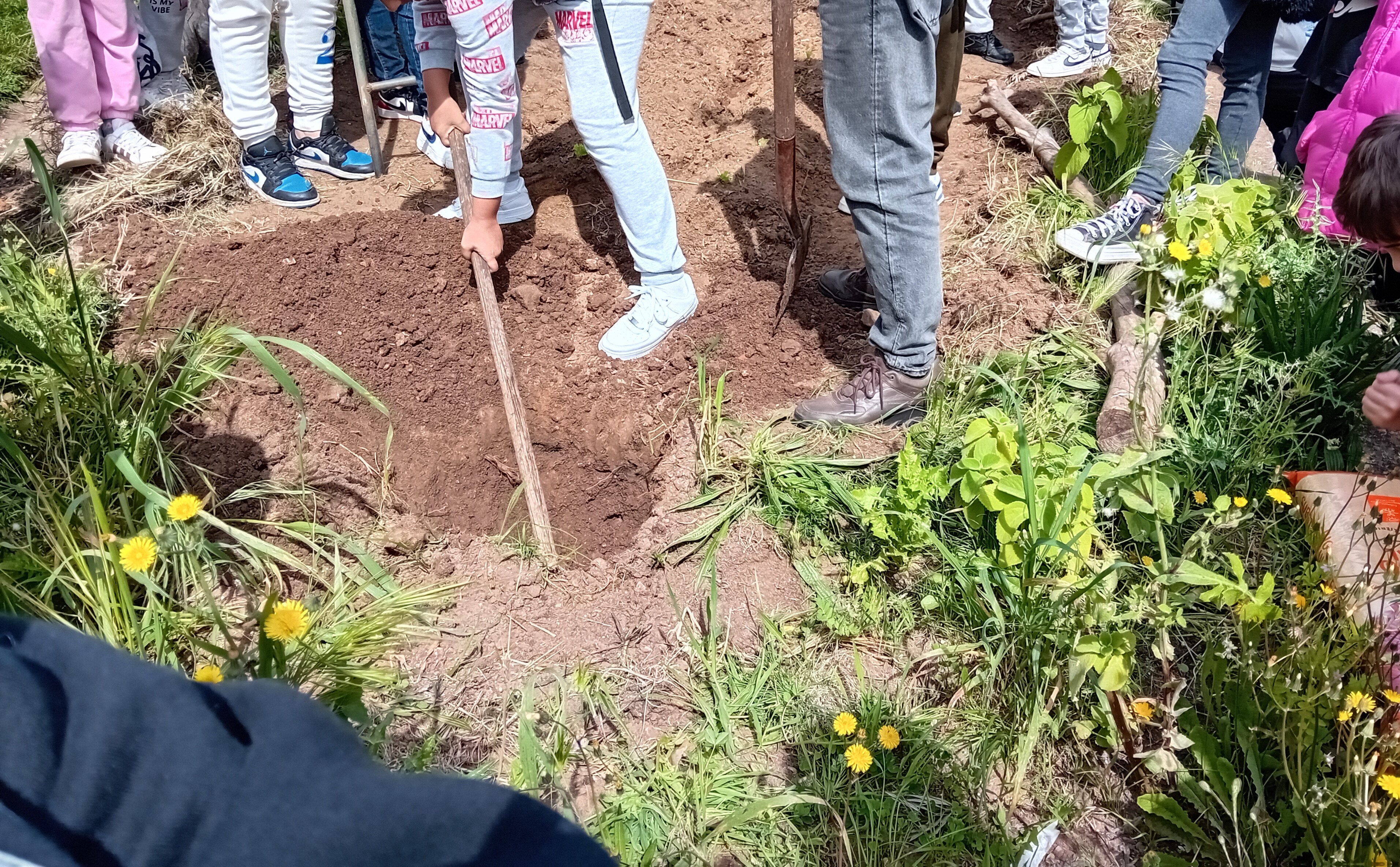 Foto 7-plantação de uma macieira, no dia da árvore, em 21 de Março, envolvendo cerca de 60 alunos