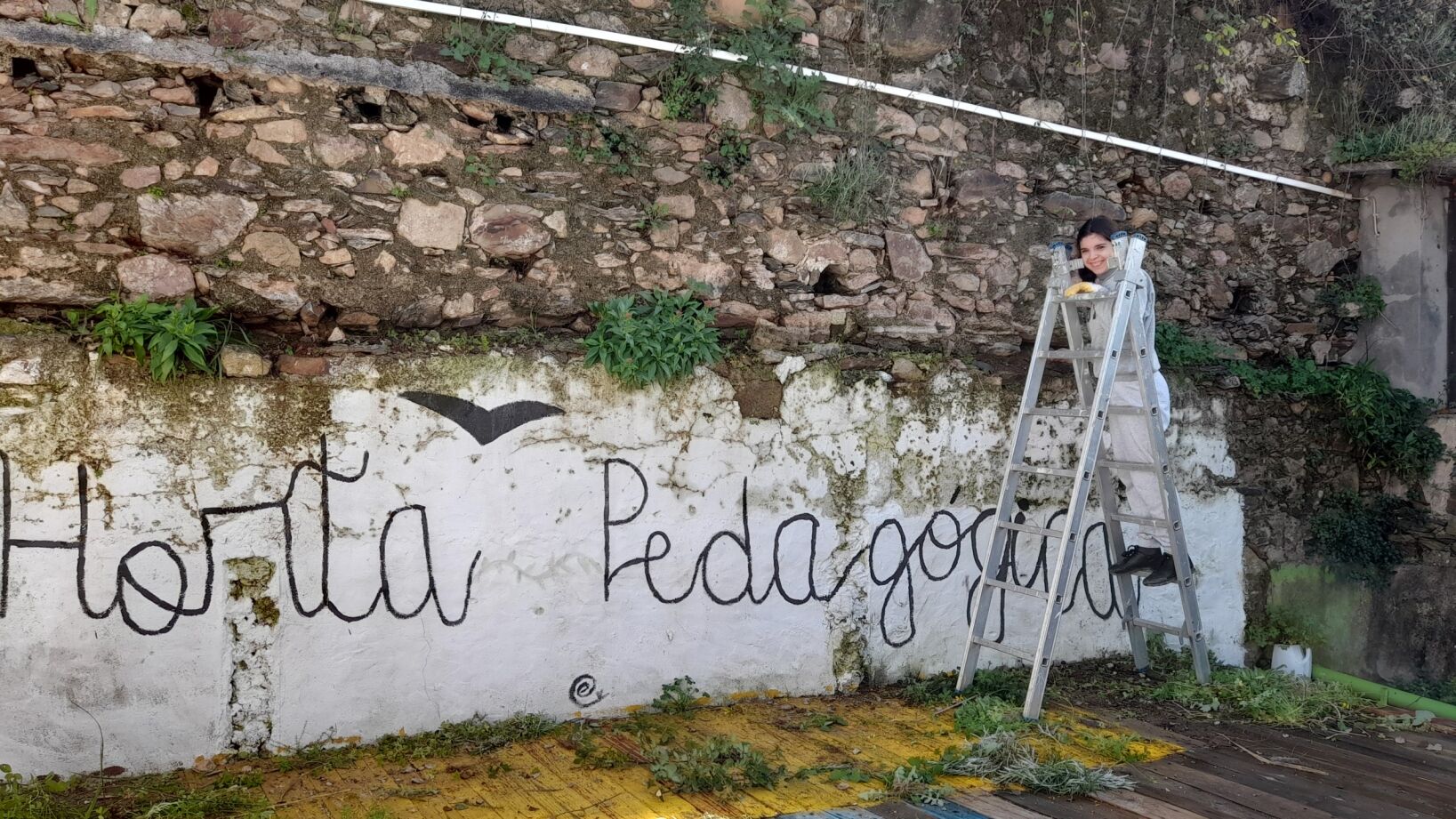 Horta Pedagógica - janeiro 2024 - Trabalhos de Limpeza.