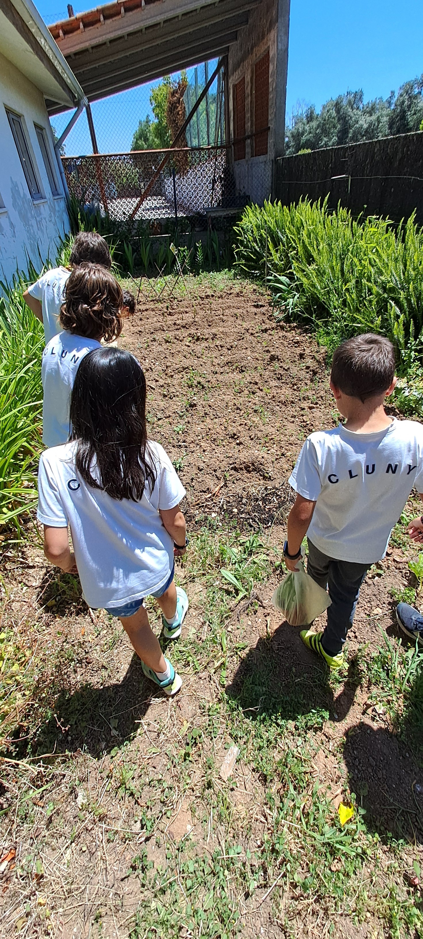 A caminho...