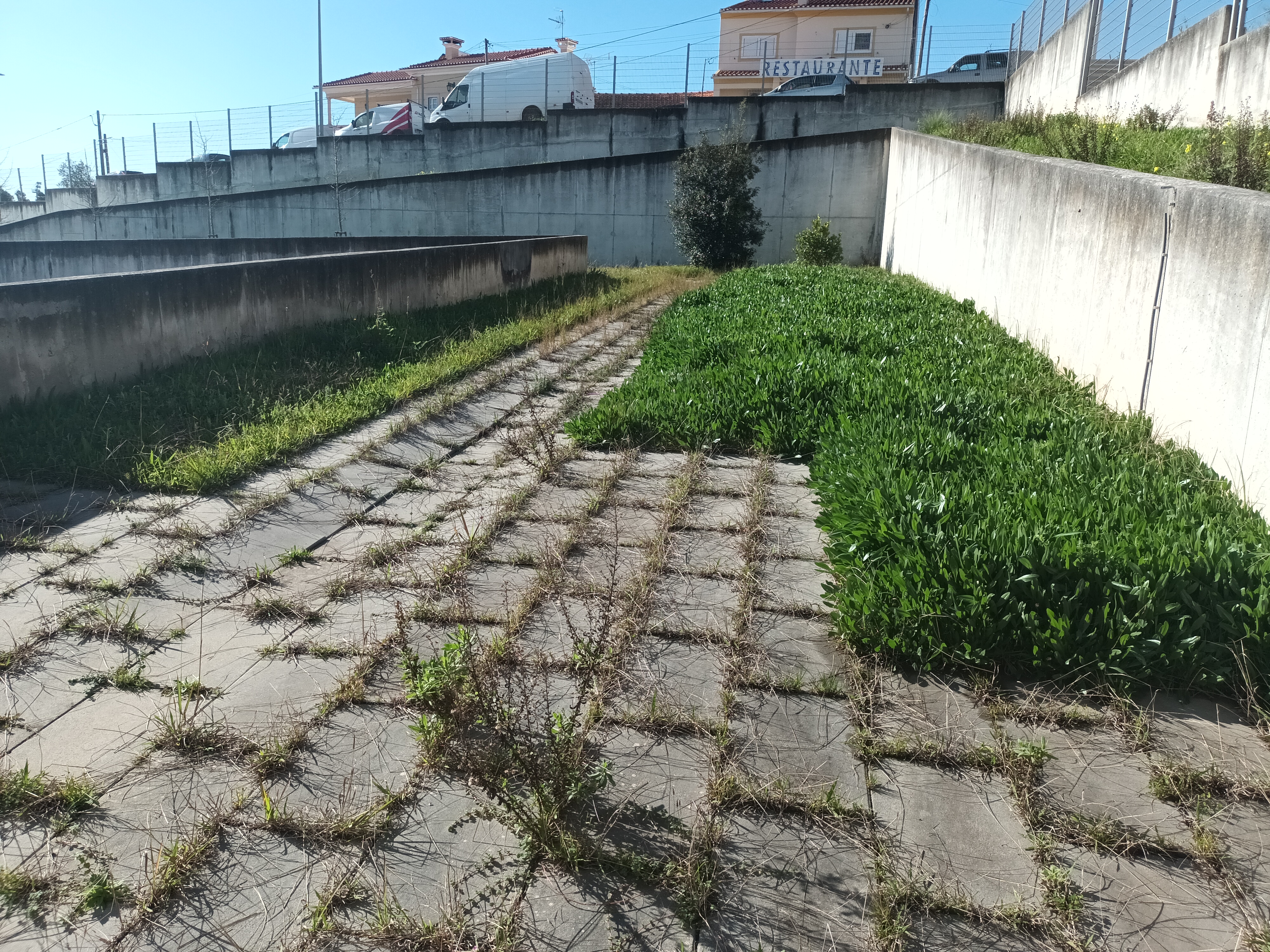 Processo de preparação do espaço/horta bio.