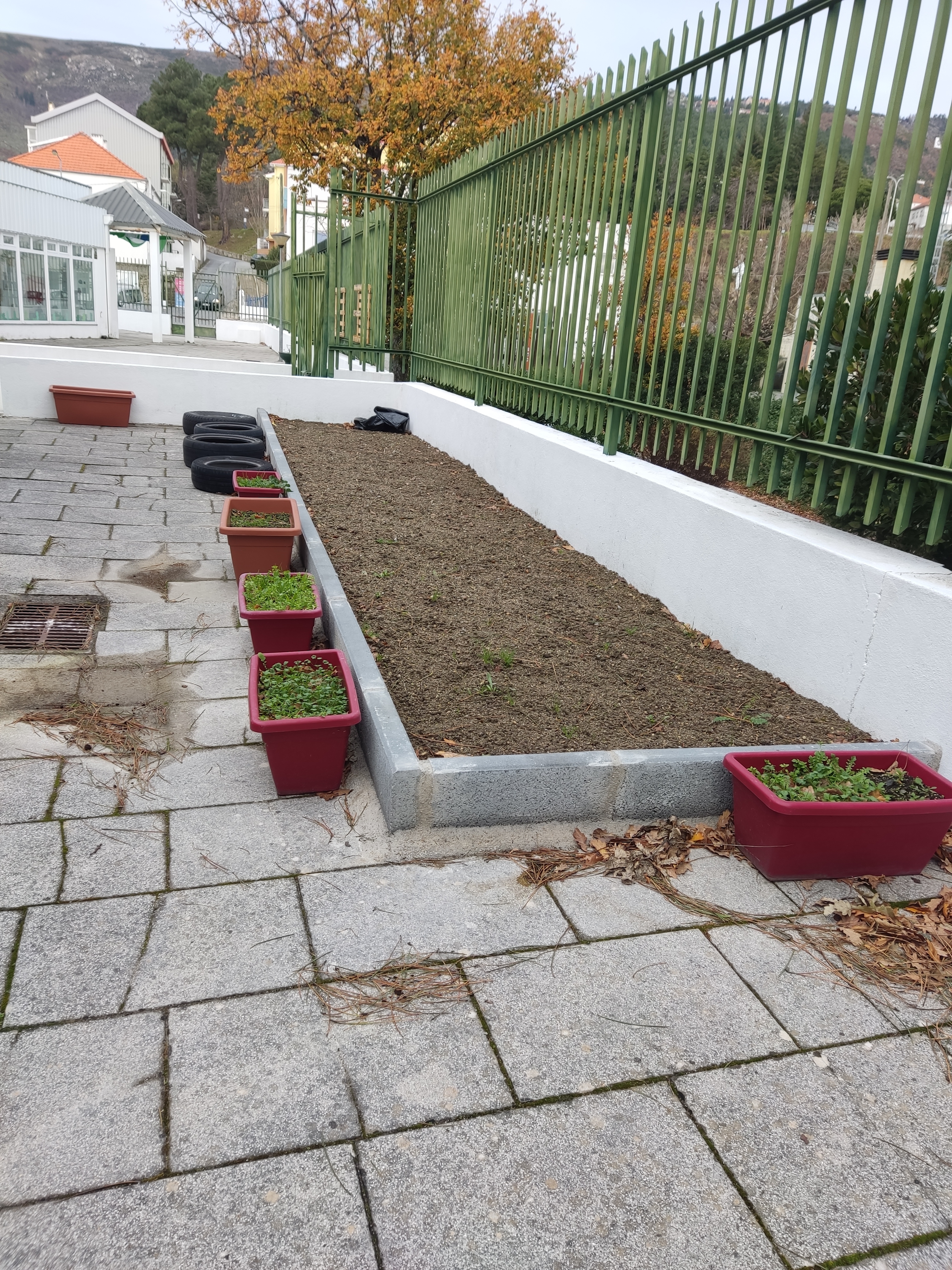 Está pronta! Vamos passar para a fase da sementeira/plantação mal o tempo o permita.