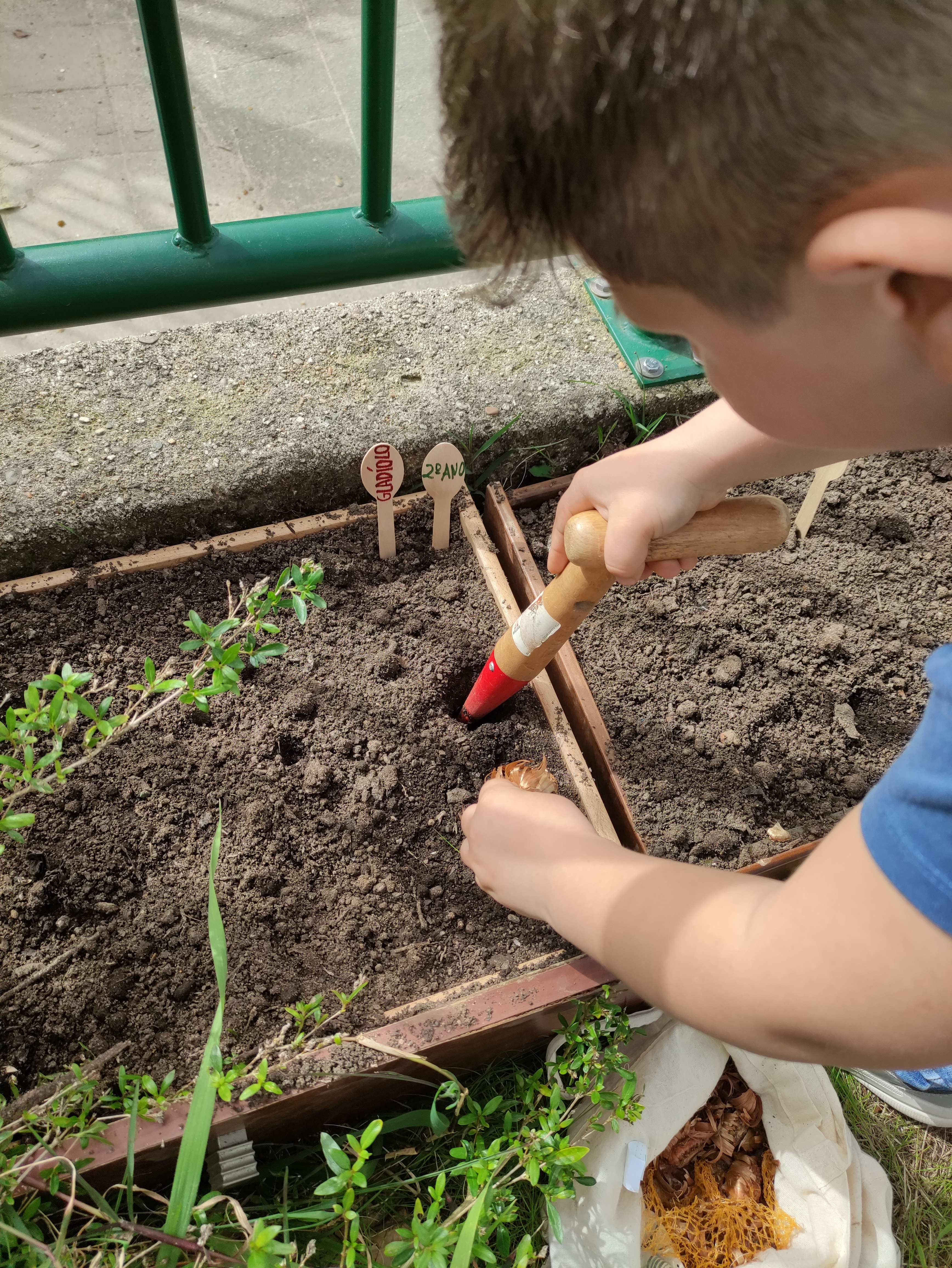 10abril Plantação de bolbos - turma 2º ano