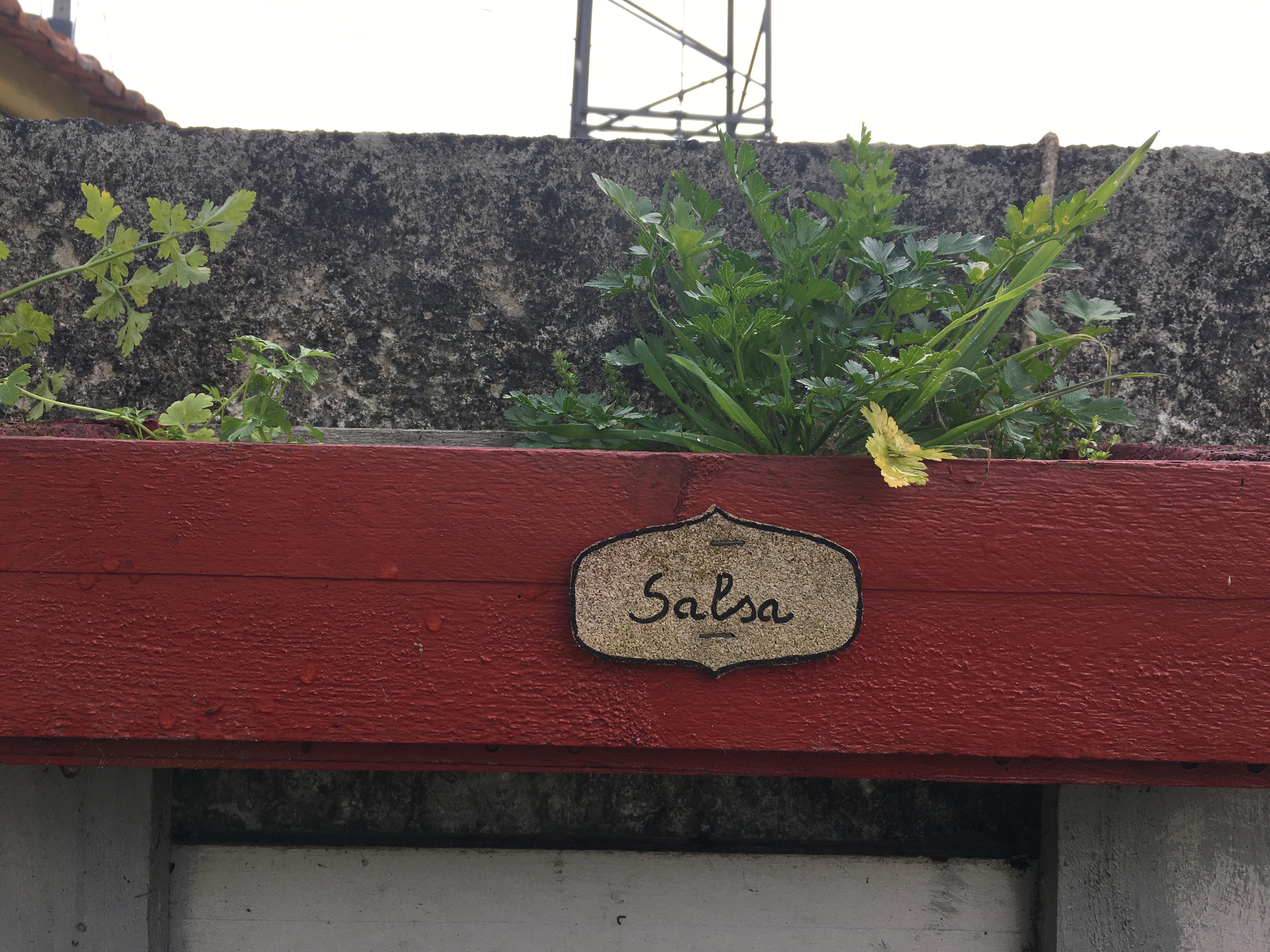Salsa