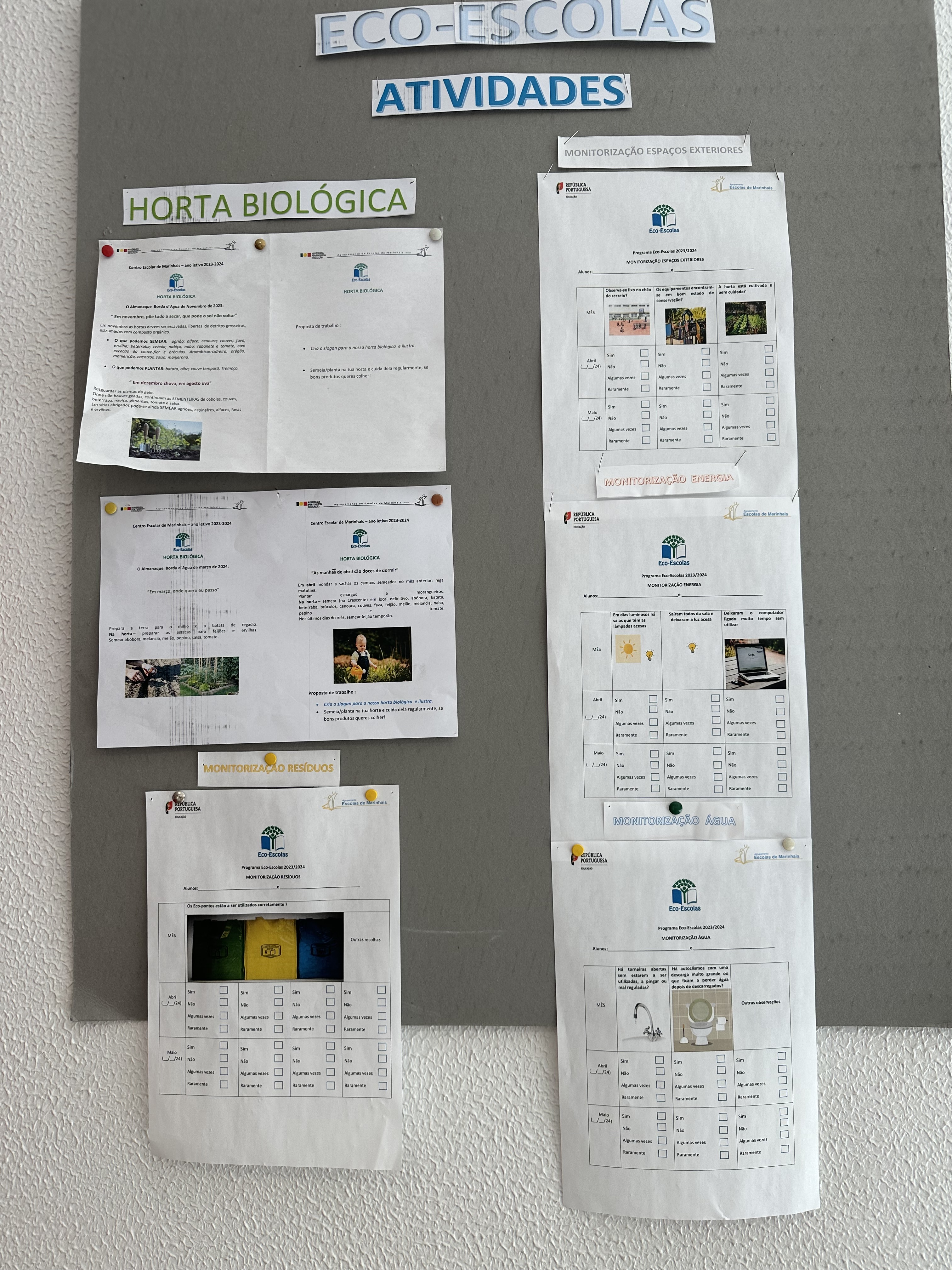 Placard - Informações ( a informação sobre as culturas que se devem semelhar e ou plantar na horta biológica em março e abril)- In Borda D´Água