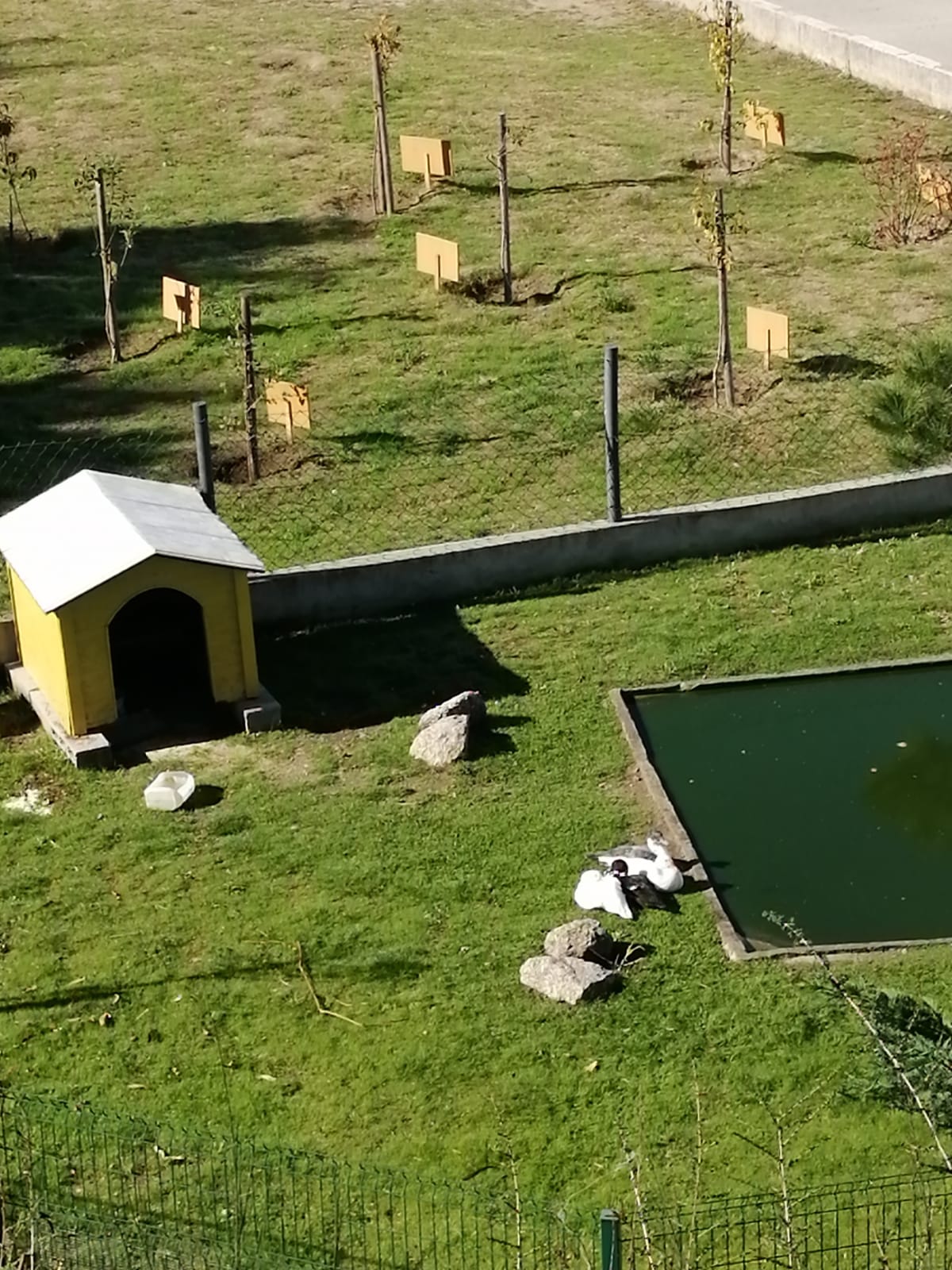 O habitat natural, o pomar e a horta estão em fase de descanso preparando-se para a chegada da Primavera.