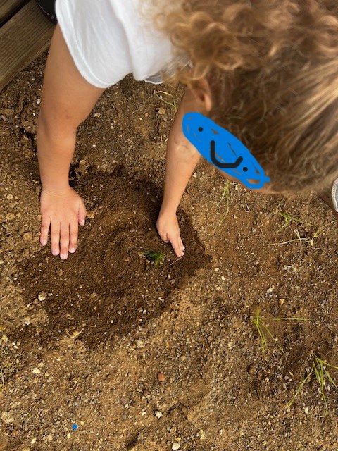 A semear: com muito cuidado pomos as pequeninas sementes na terra fofa e regamos.