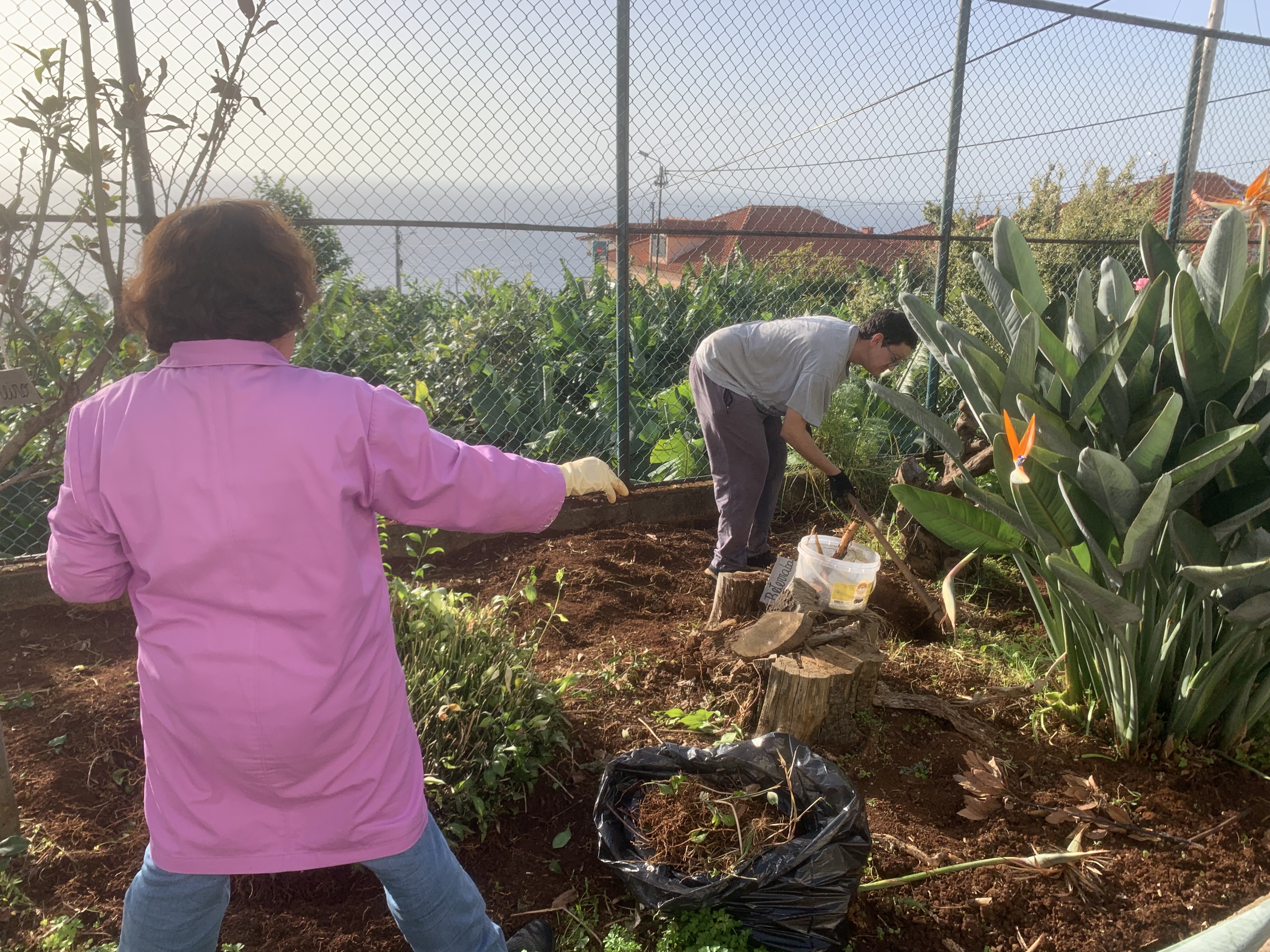 Limpeza da horta
Preparação do terreno para a plantação, os utentes cavaram o terreno e limparam as ervas para o mesmo poder ser cultivado.