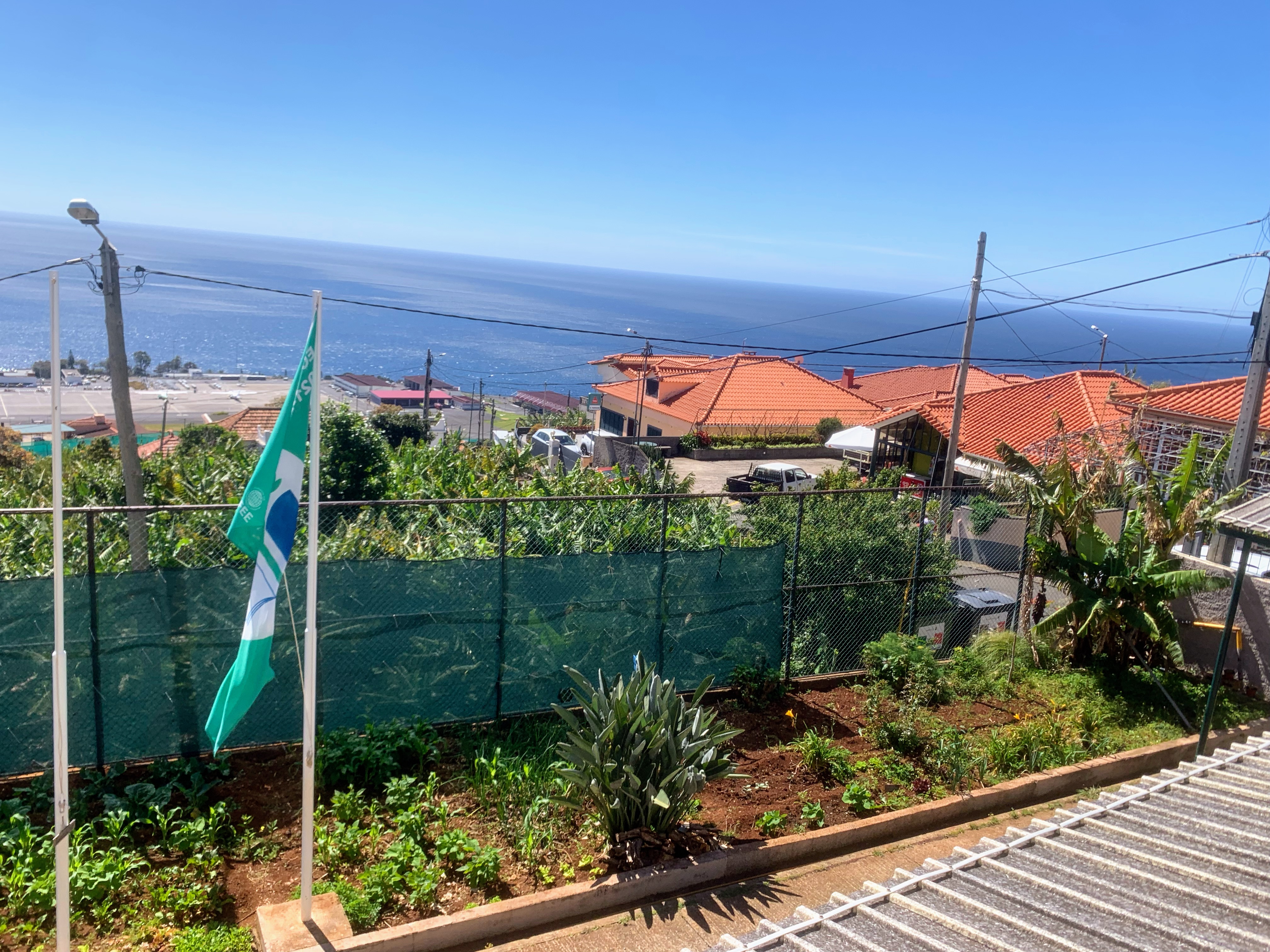 Vista da horta numa perspetiva mais abrangente.