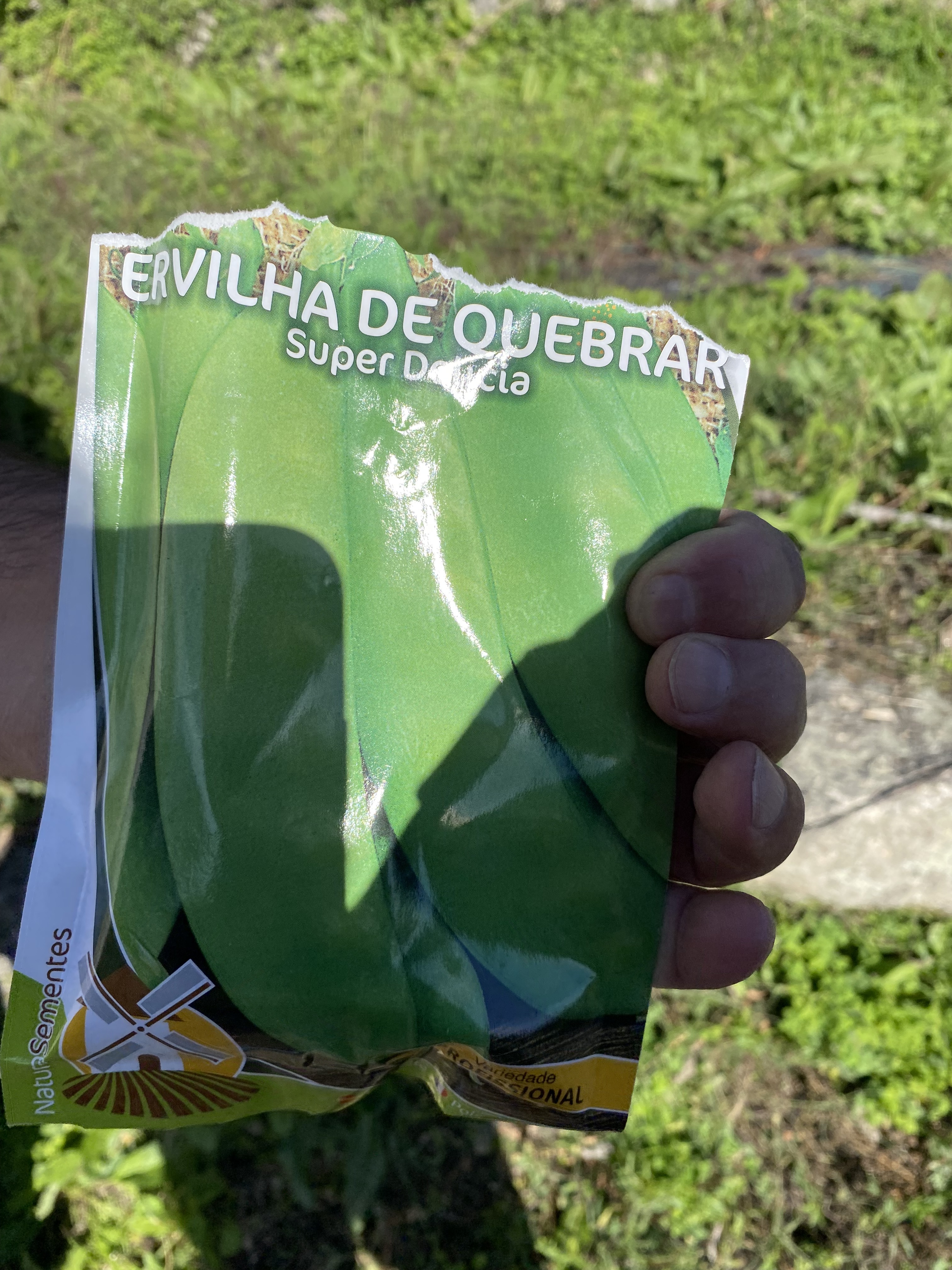 Sementes de ervilhas.