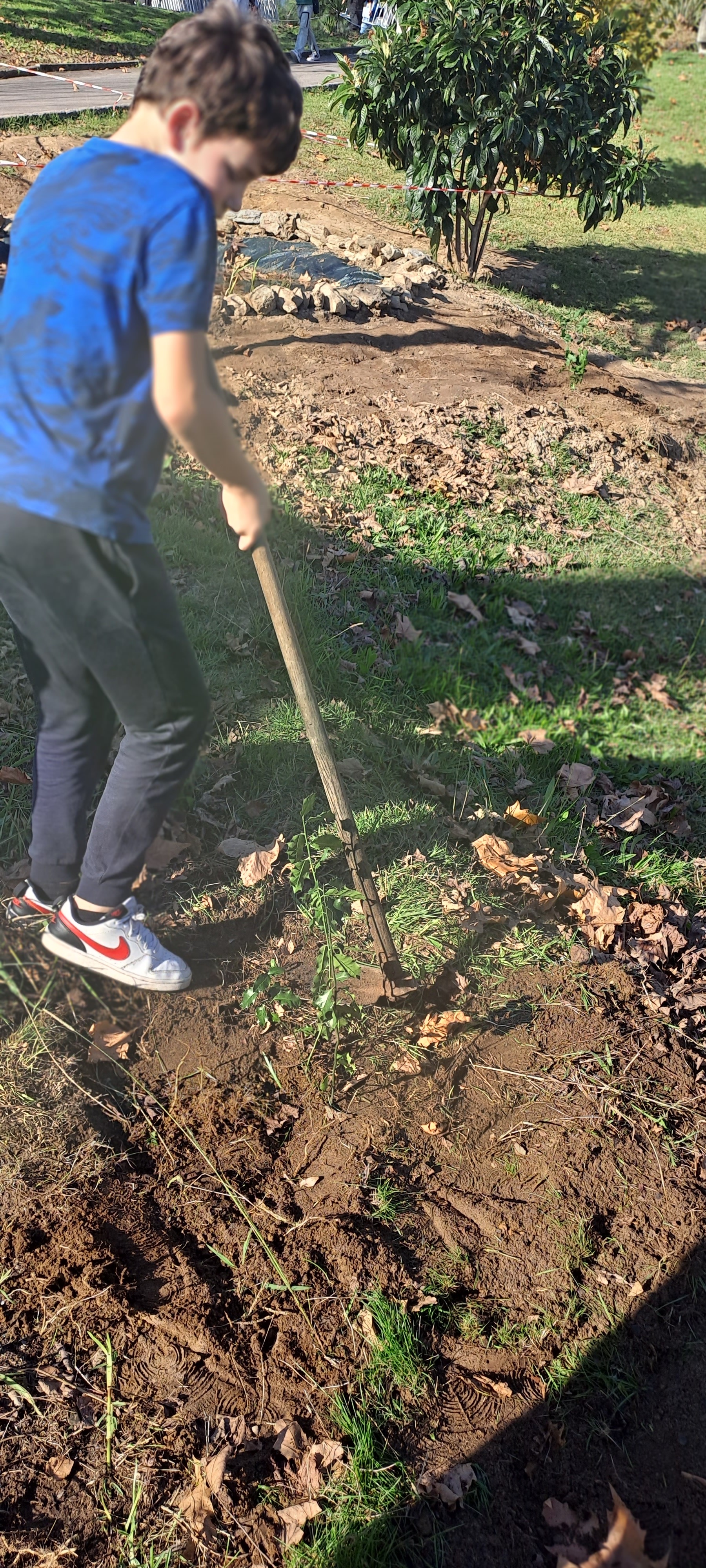 Os alunos do Clube de Hortofloricultura sinalizaram o dia da Floresta autóctone com a plantação de azevinhos Ilex aquifolium  e Quercus faginea na área circundante ao charco pedagógico e da horta para aumento da biodiversidade local.