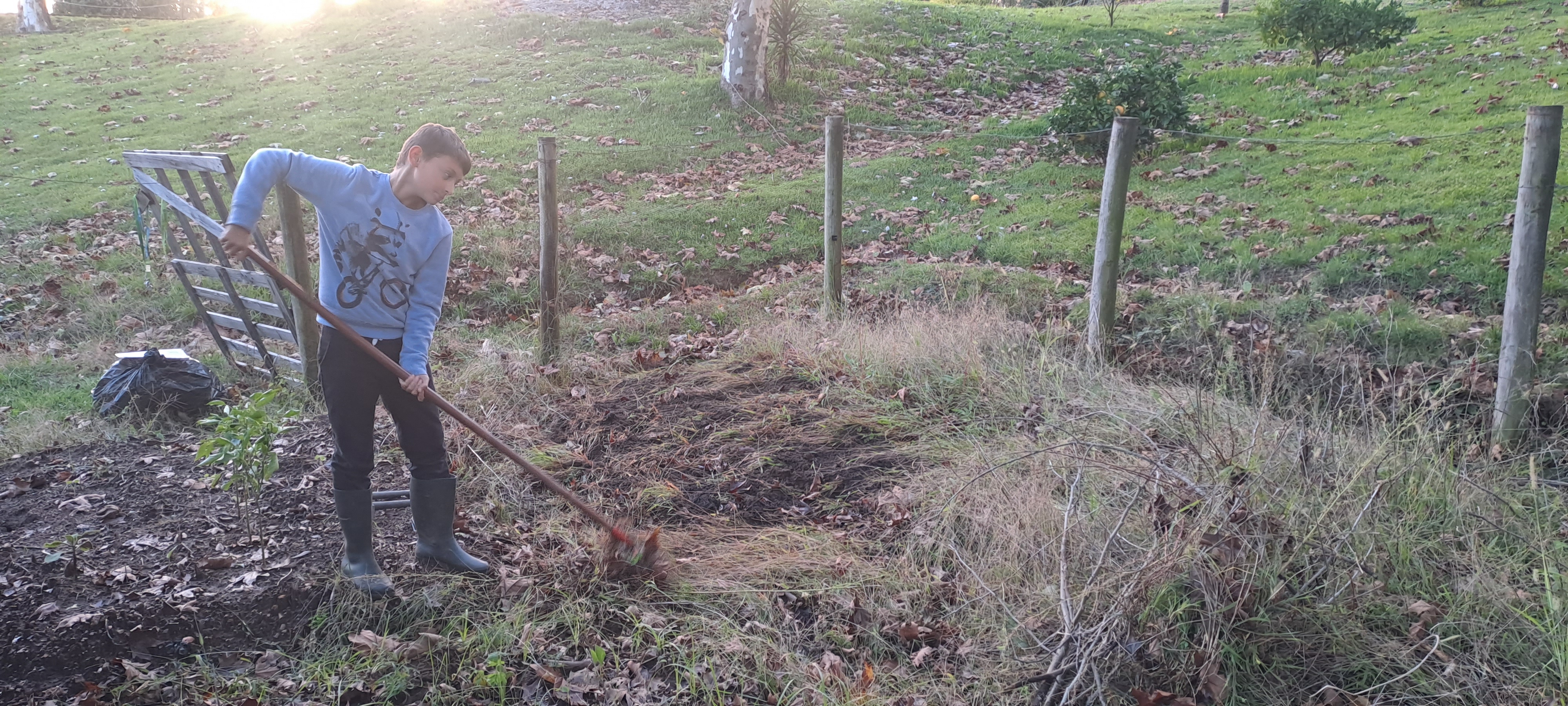 Estado da horta em setembro. Limpeza geral, remoção das espécies secas e colocação na pilha de compostagem. Execução de nova cancela da entrada da horta.
