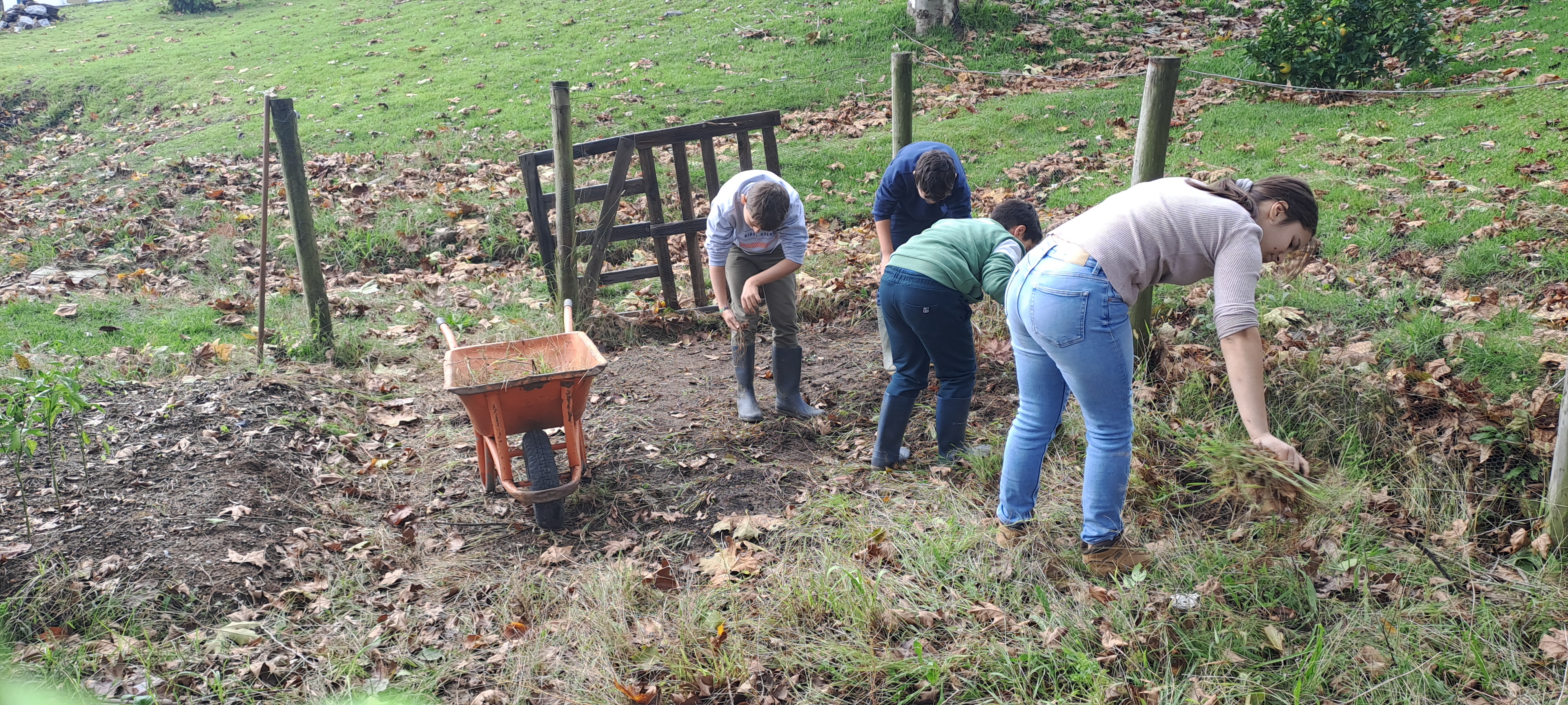 Preparação do solo para posterior cultura da época (outono/inverno). Incorporação de composto e cava para enriquecimento do solo.